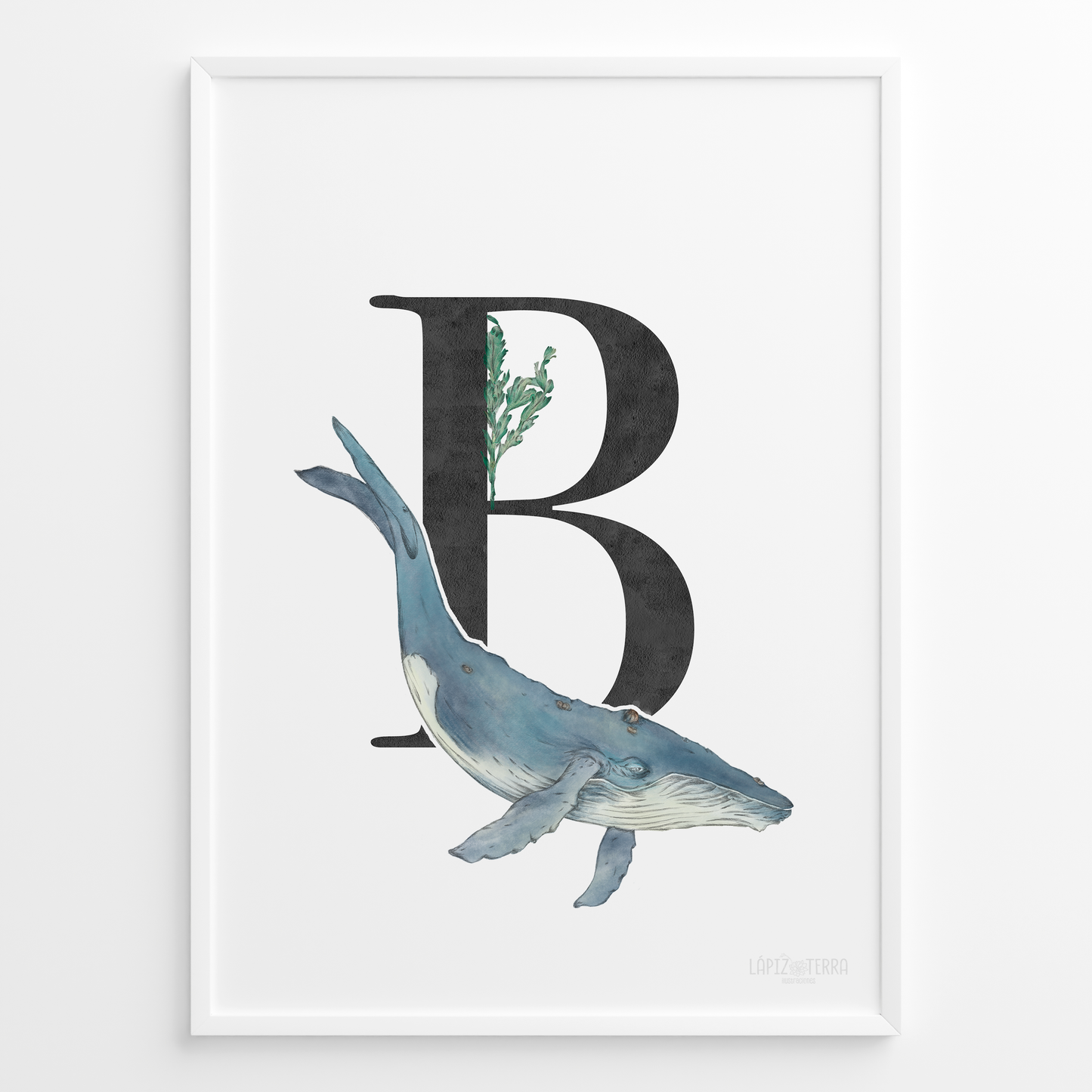 Letra & Ballena