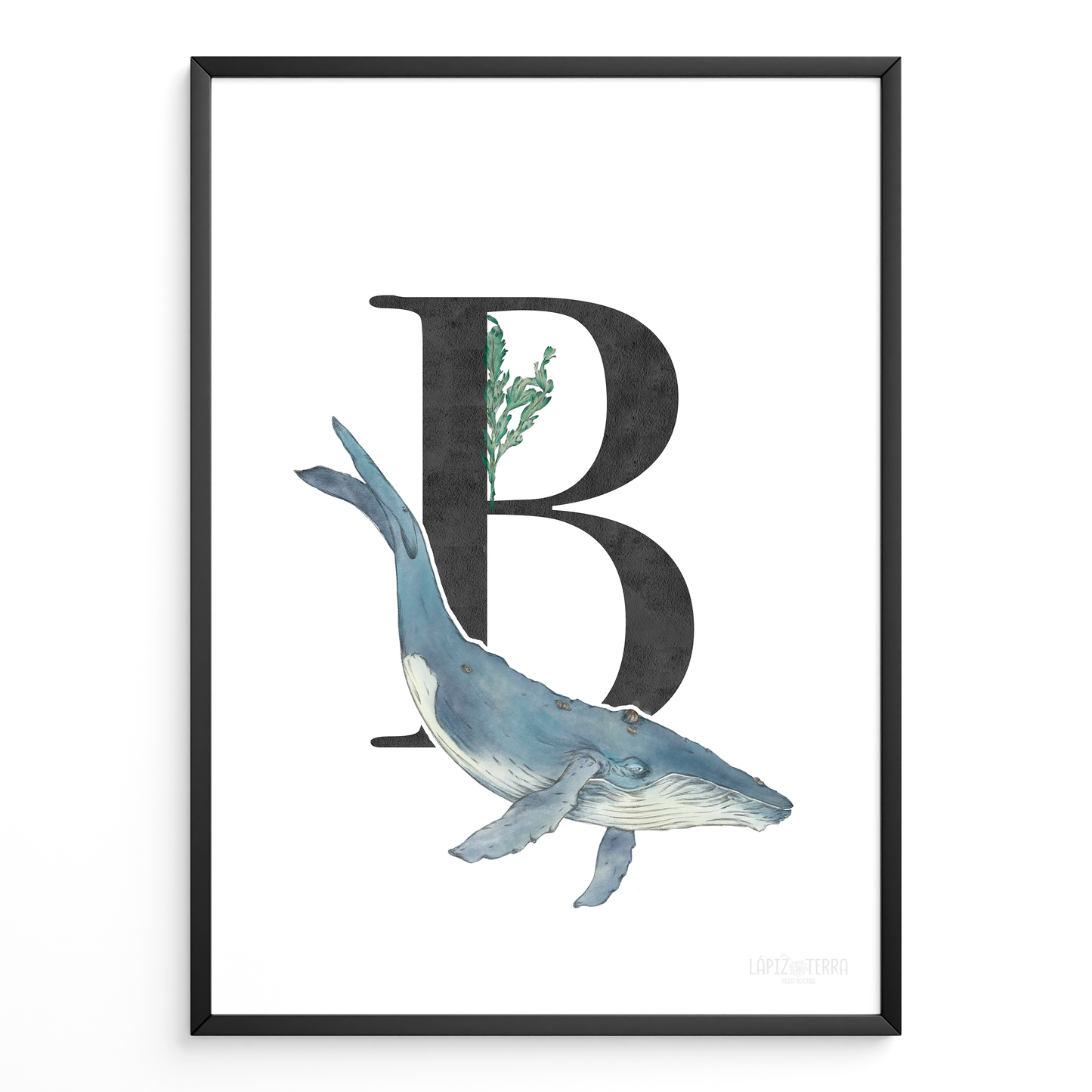Letra & Ballena