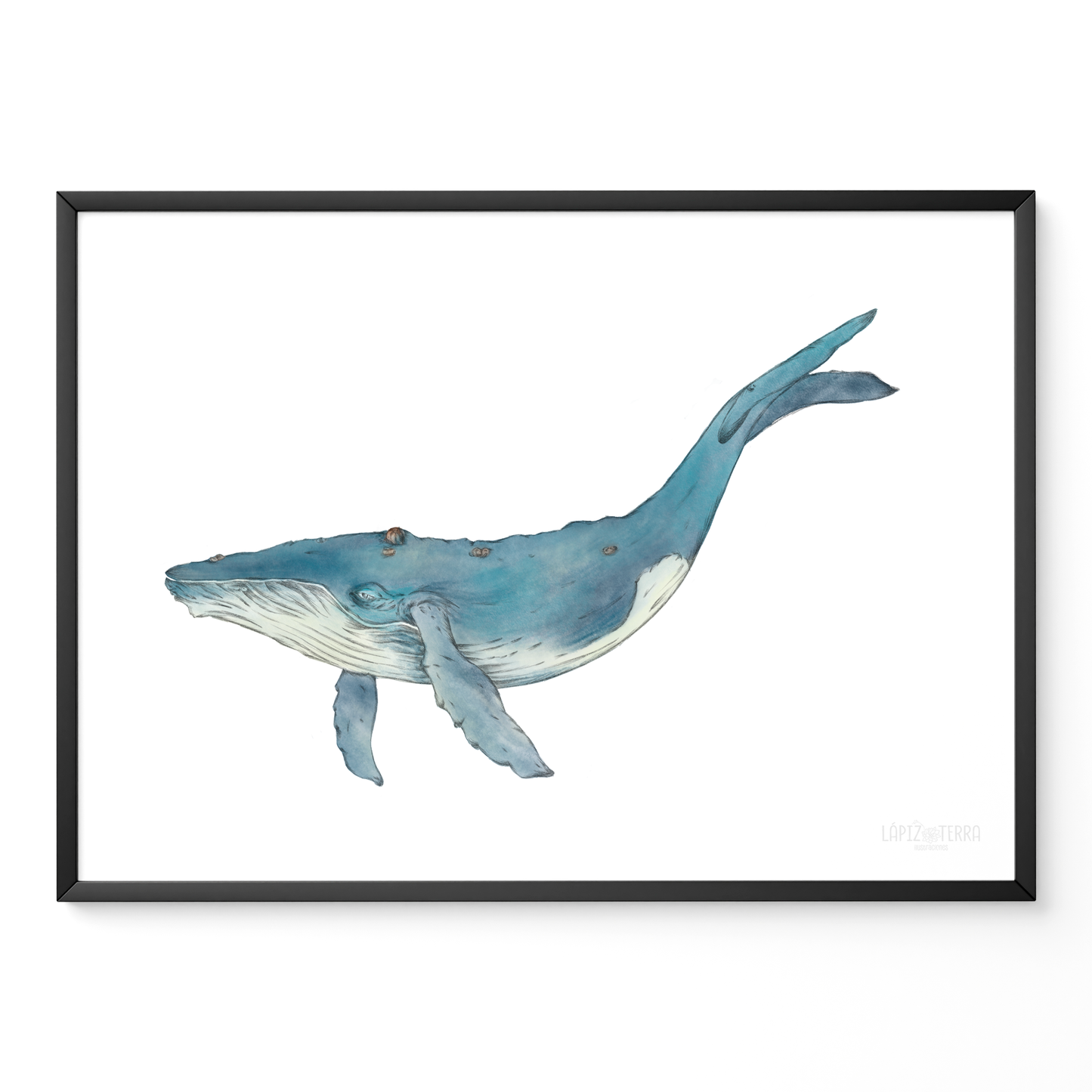 Ballena