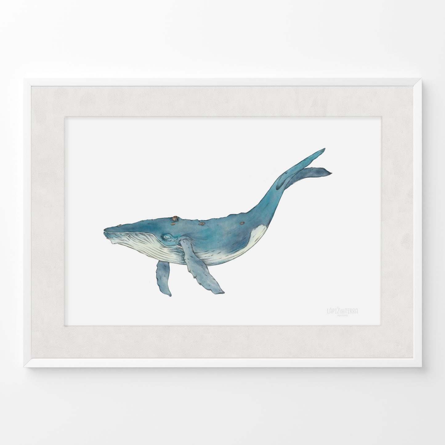 Ballena