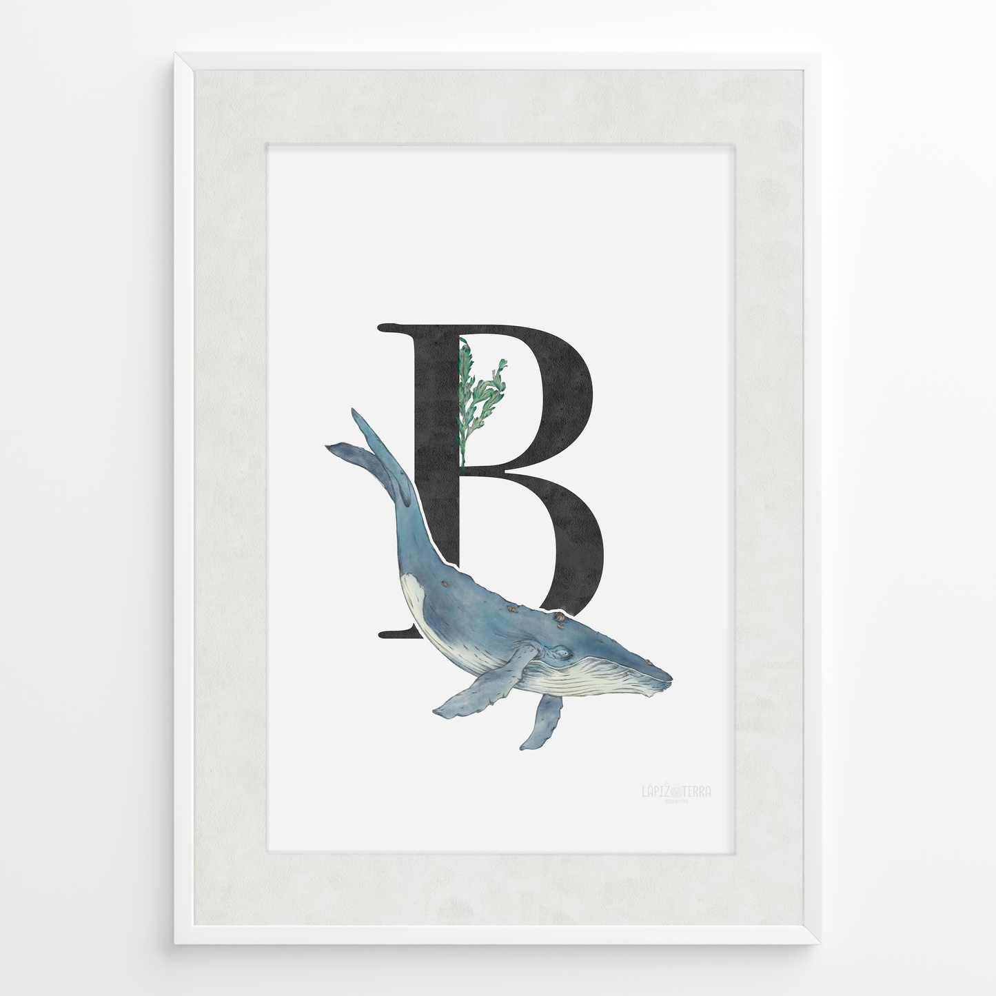 Letra & Ballena