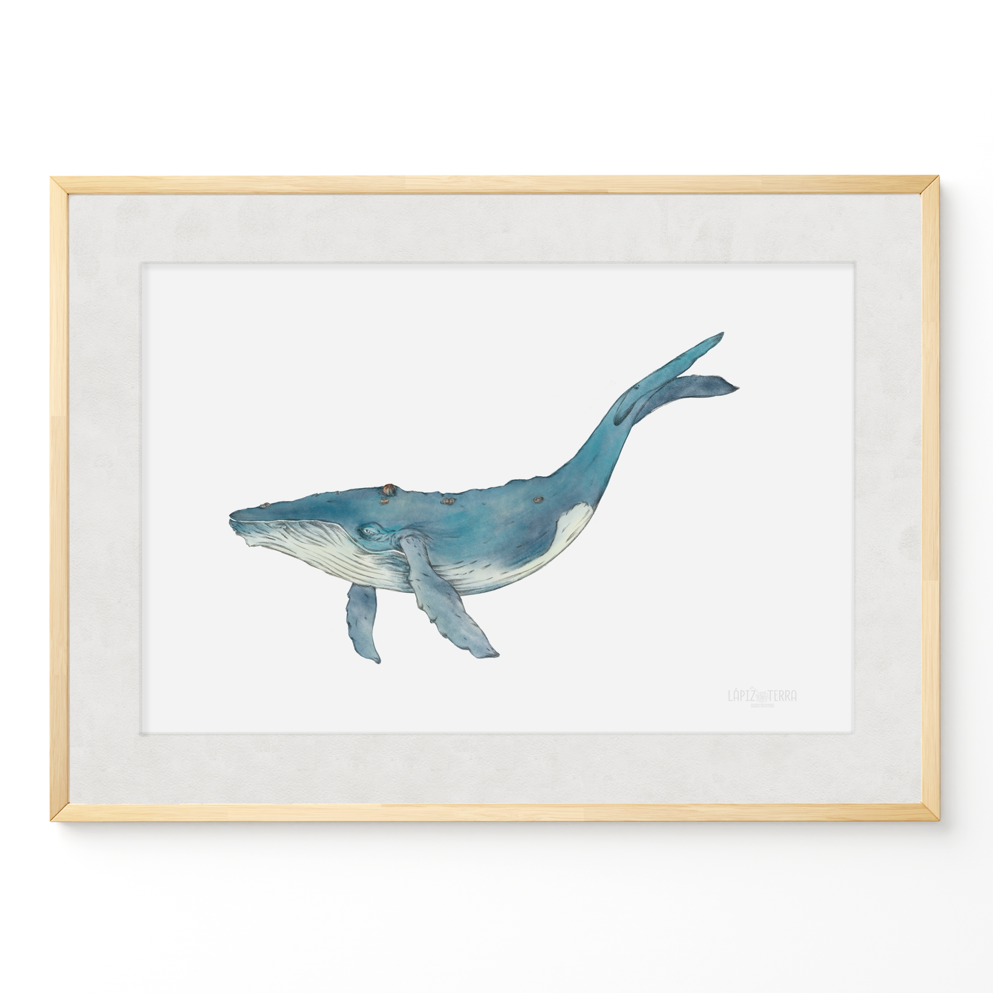 Ballena