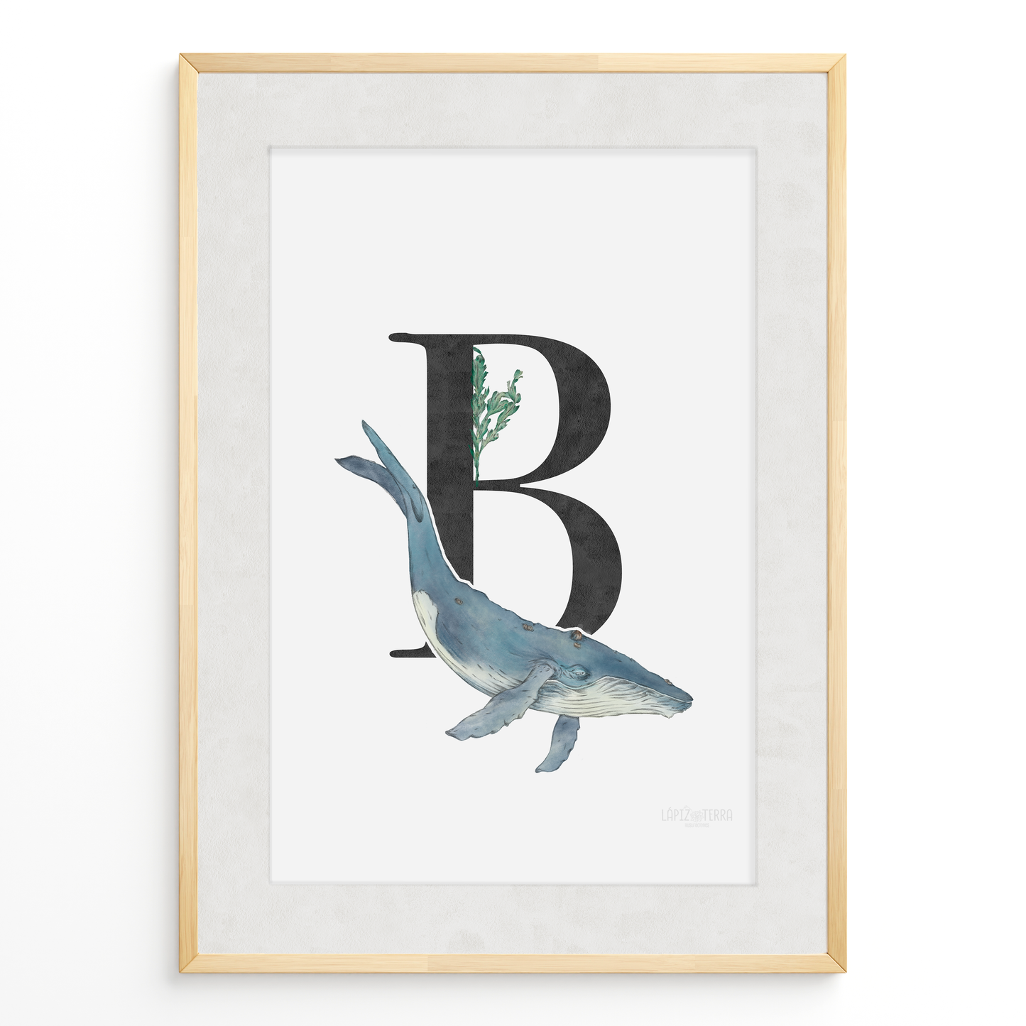 Letra & Ballena