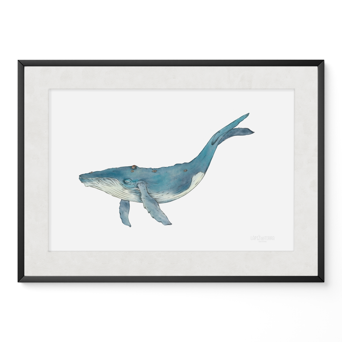 Ballena