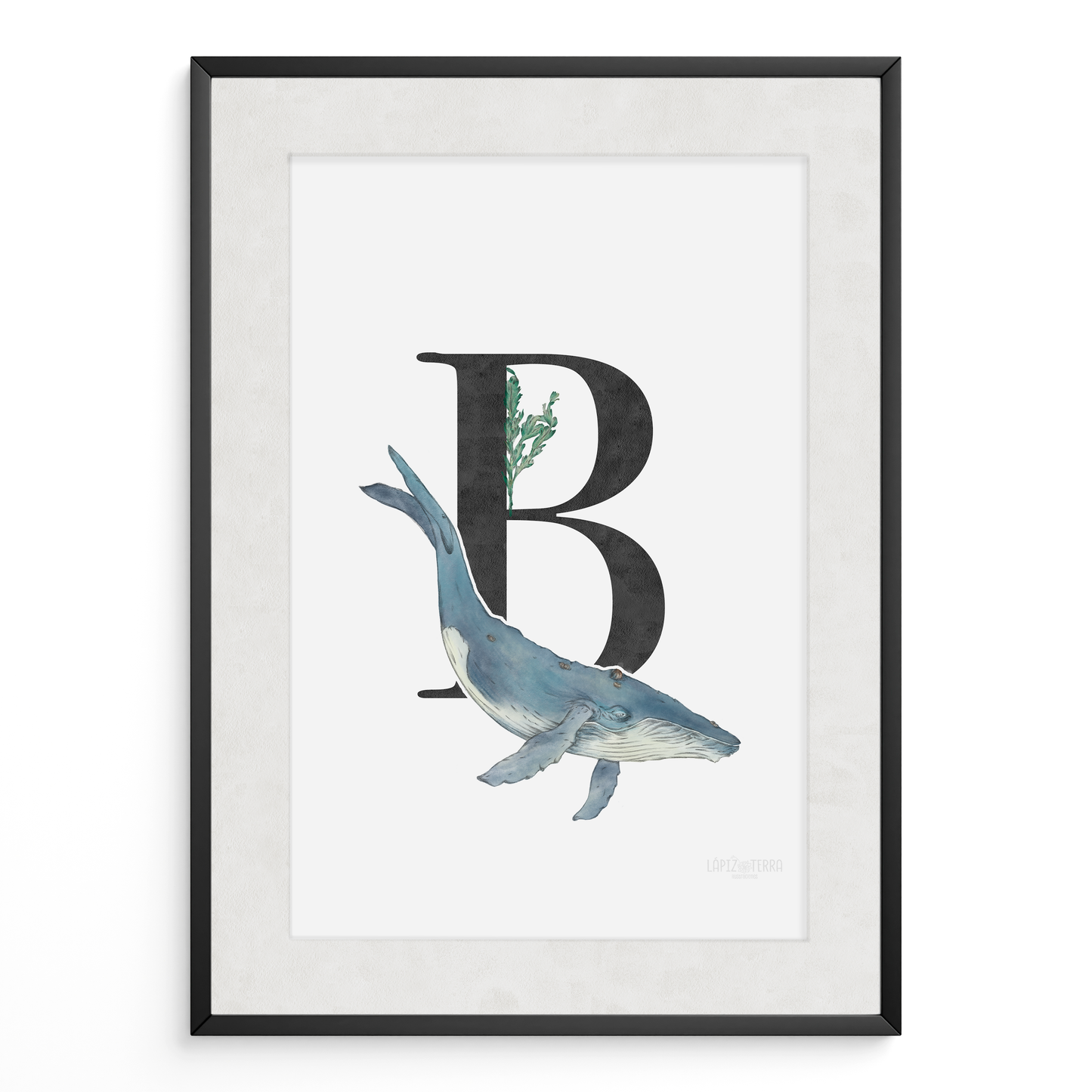 Letra & Ballena