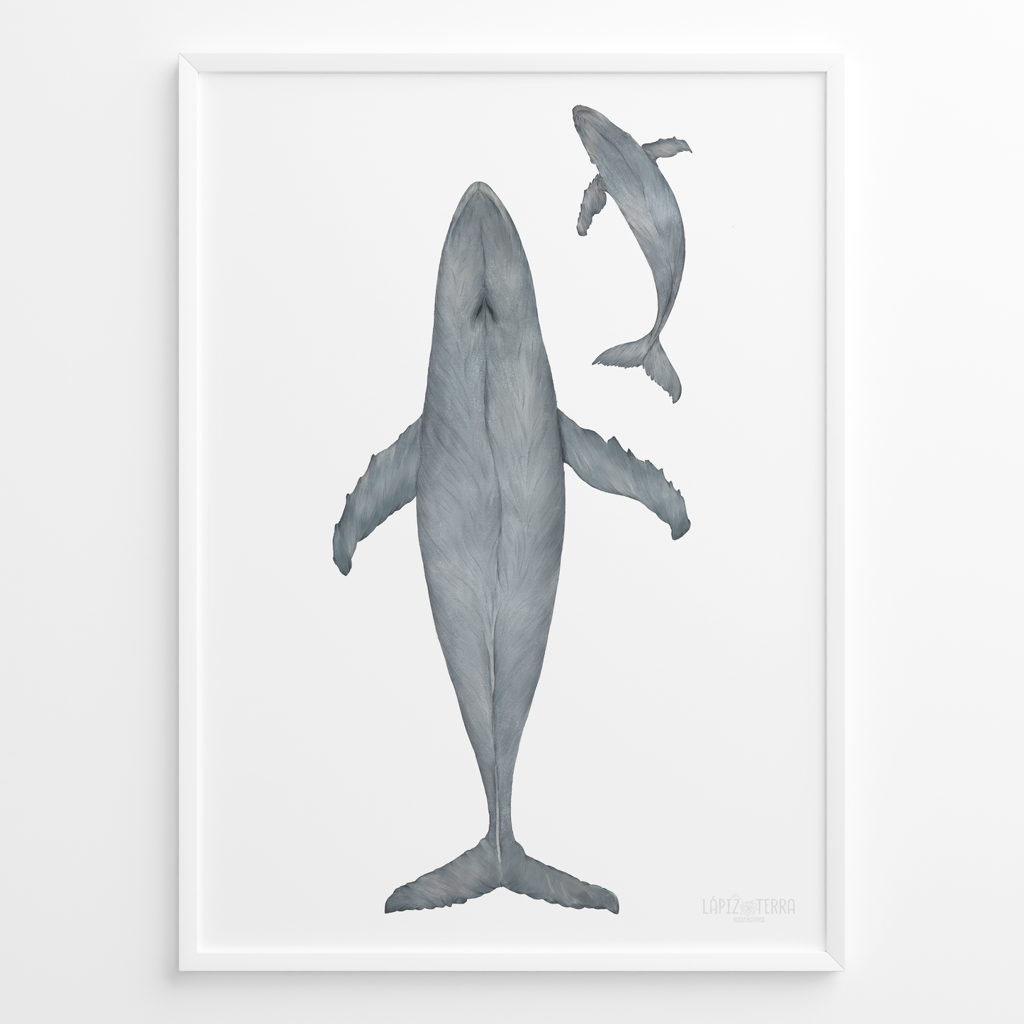 Ballena Azul