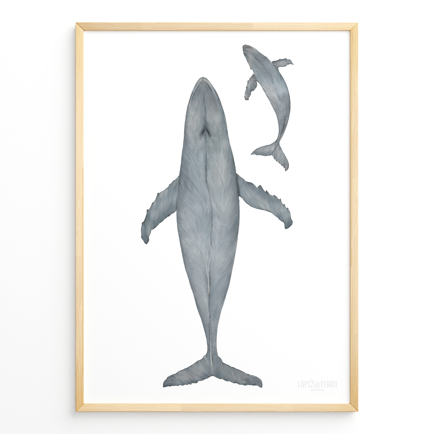 Ballena Azul