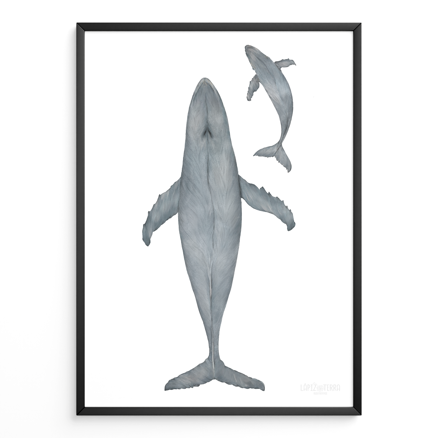 Ballena Azul