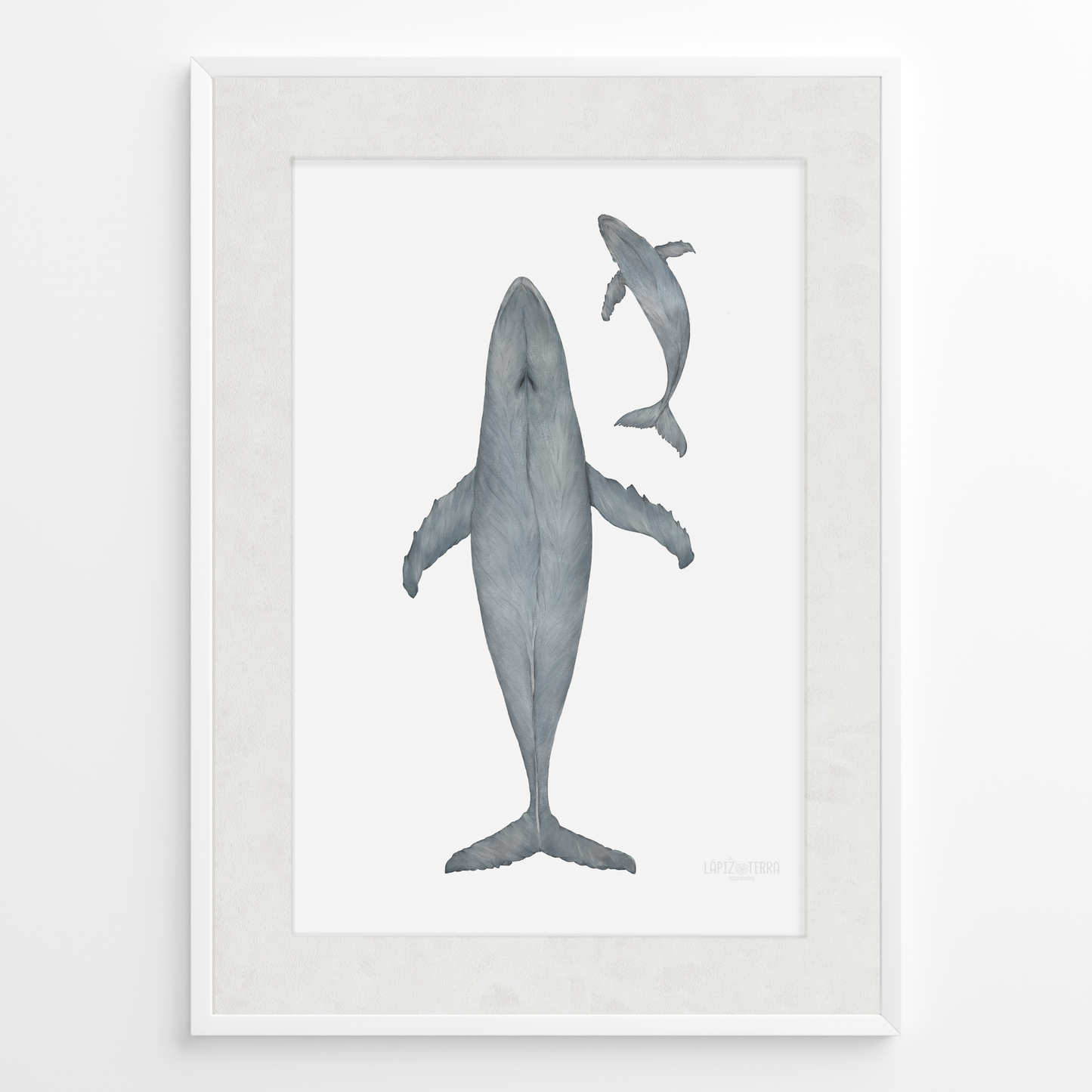 Ballena Azul