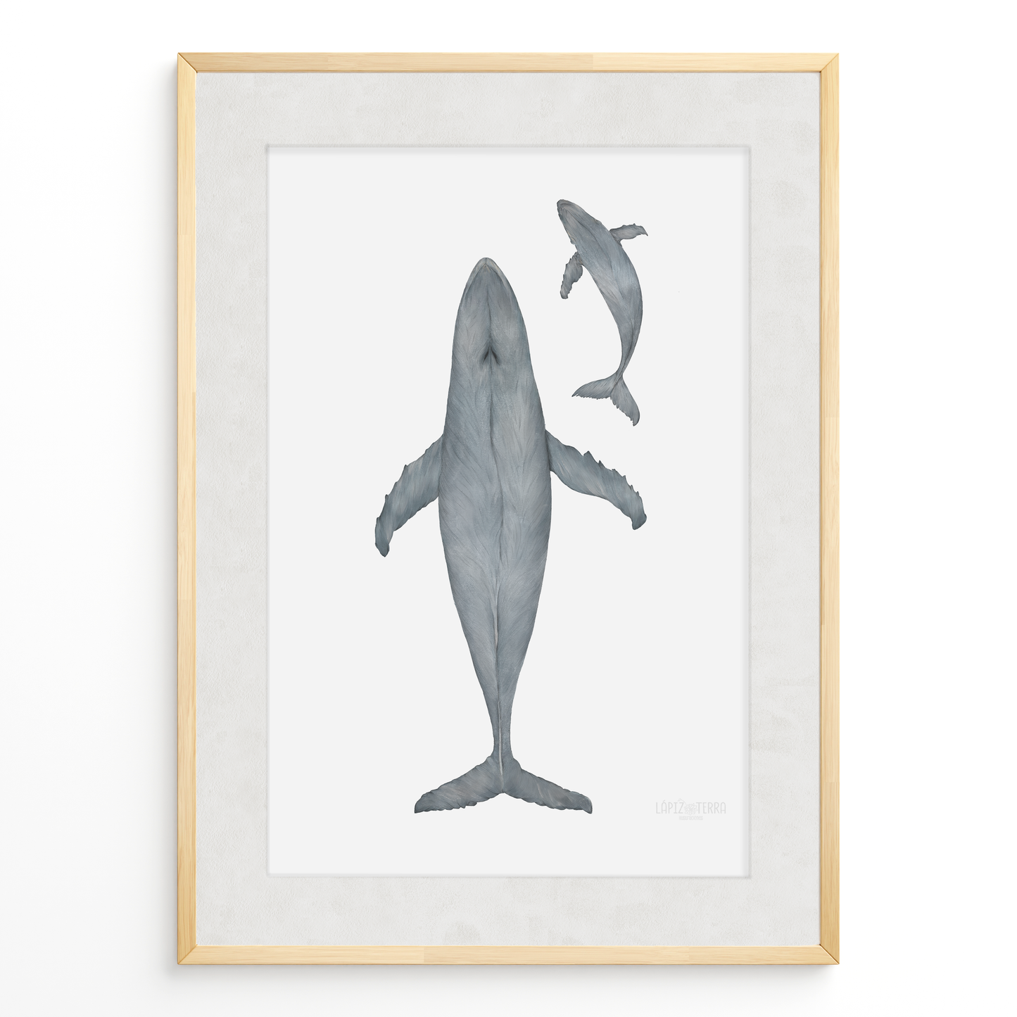 Ballena Azul