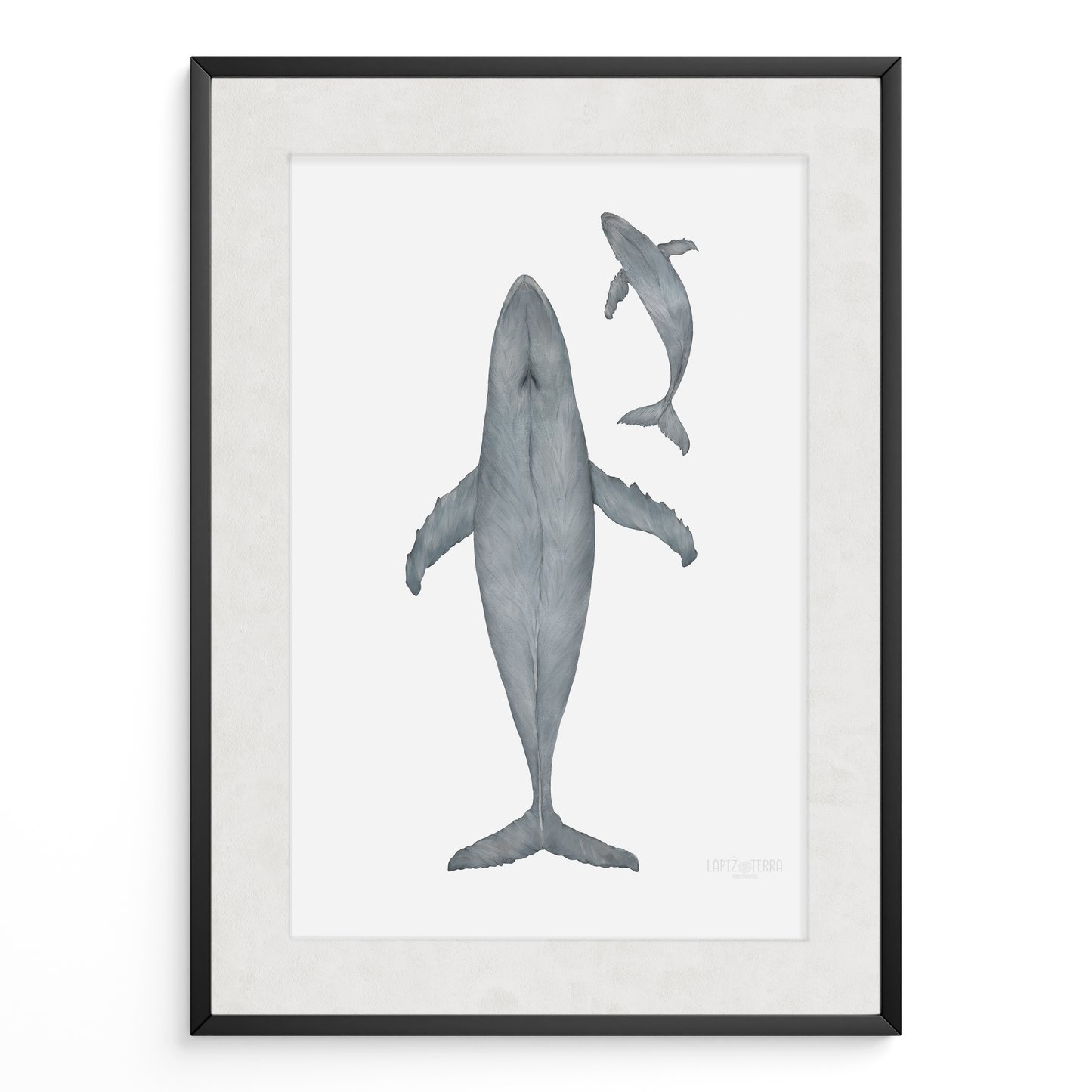 Ballena Azul