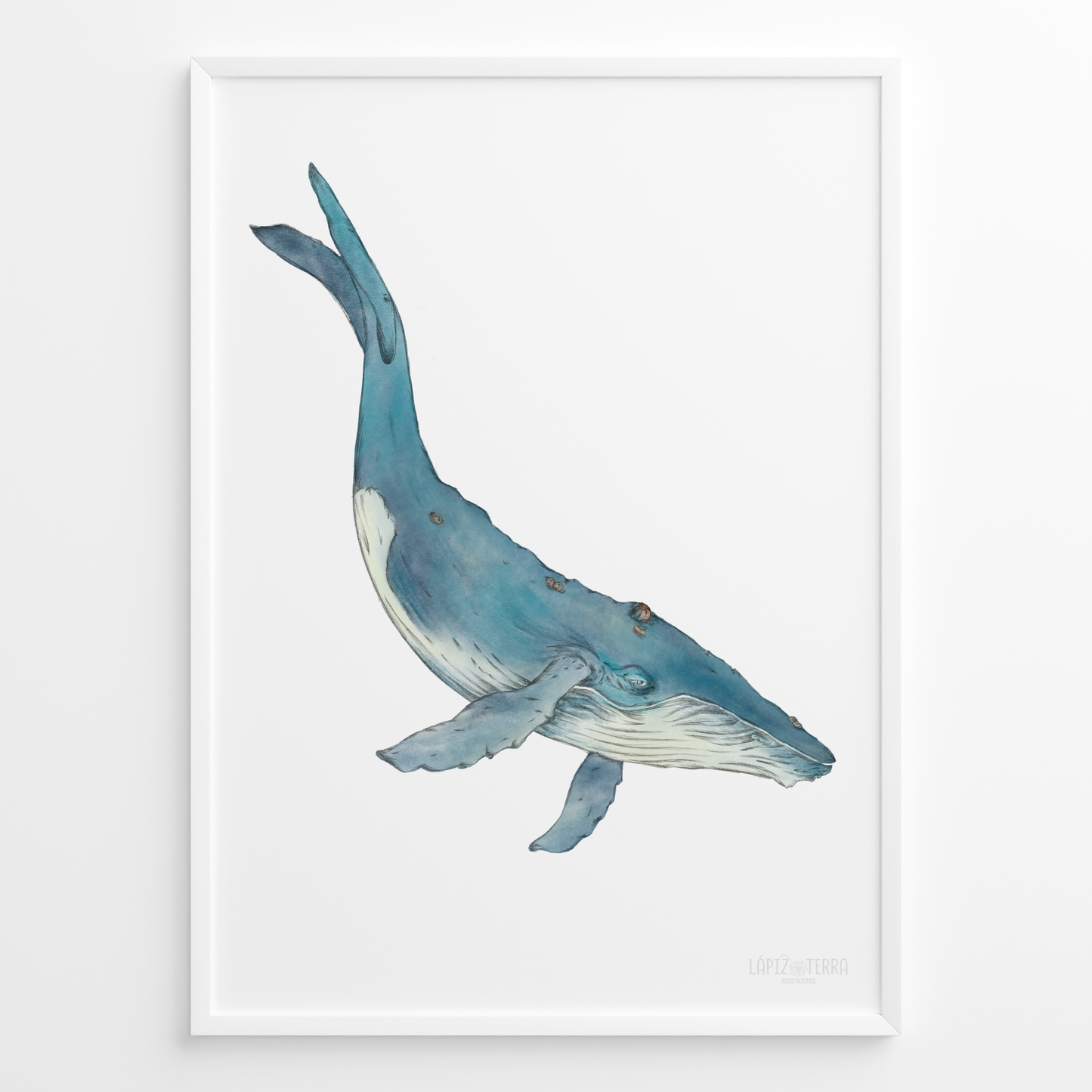 Ballena