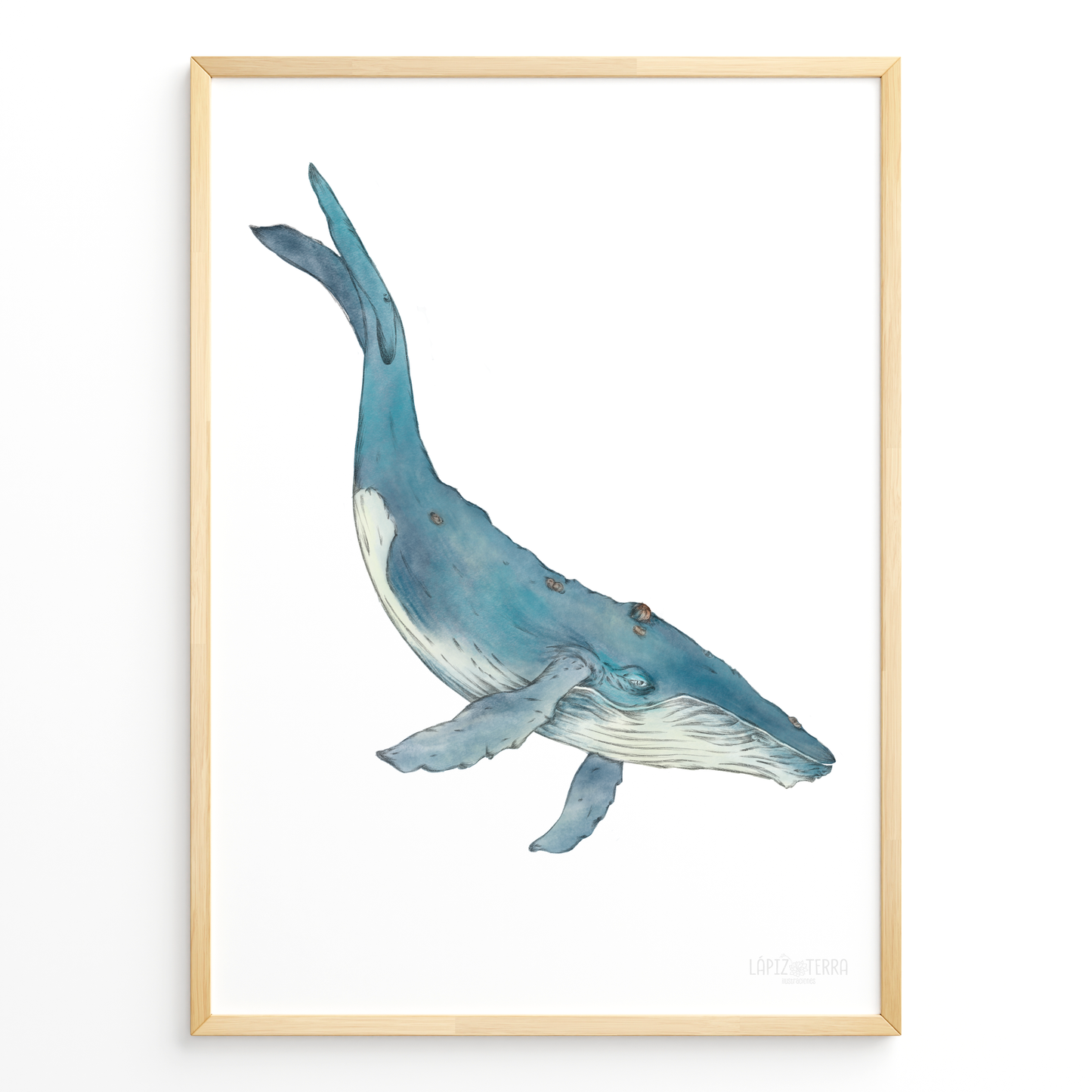 Ballena