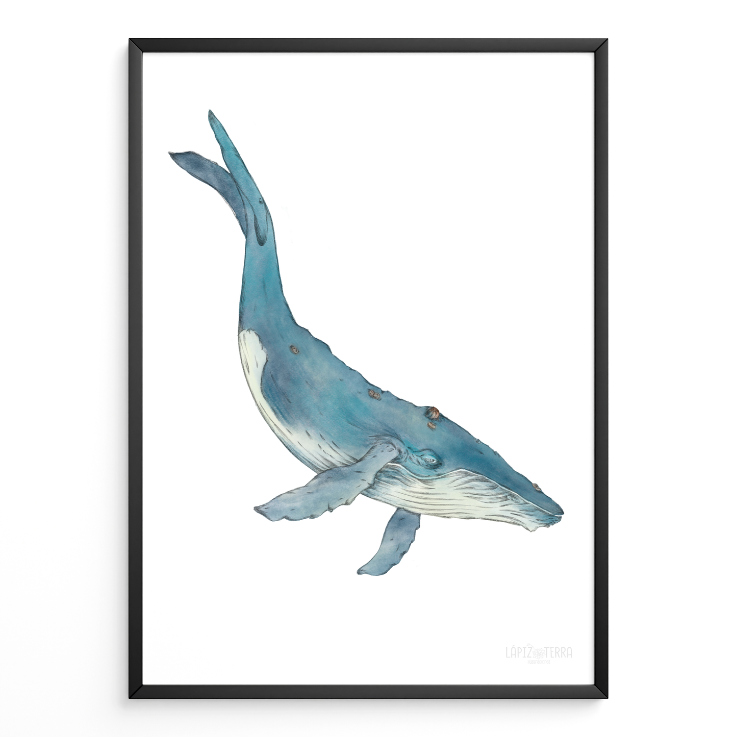 Ballena