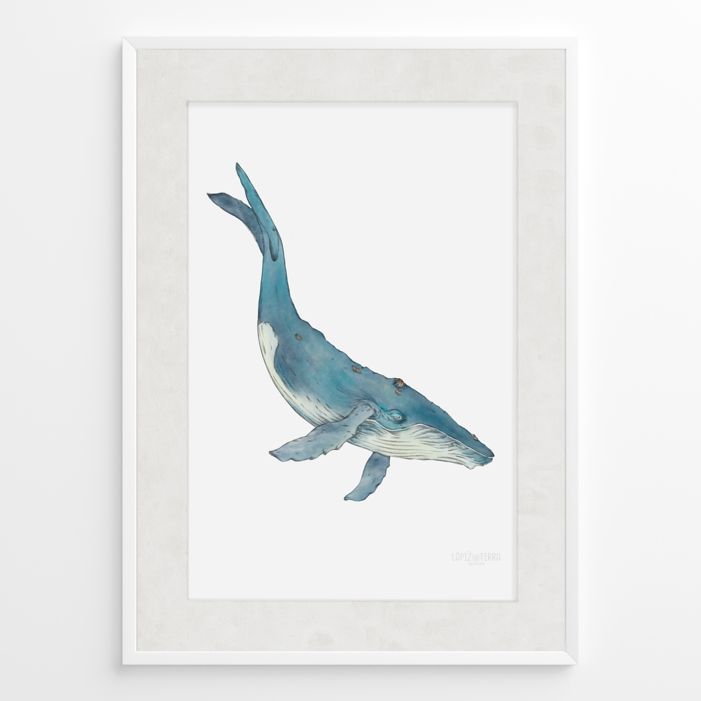 Ballena