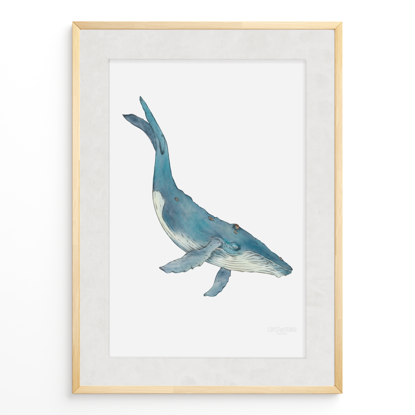 Ballena