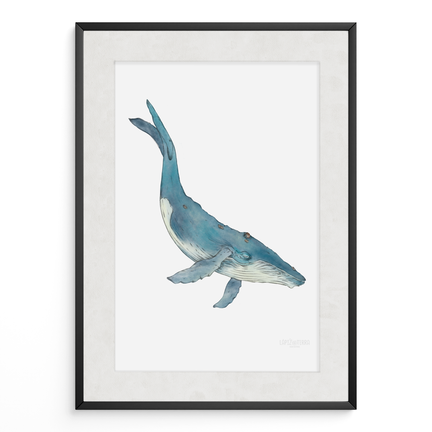 Ballena