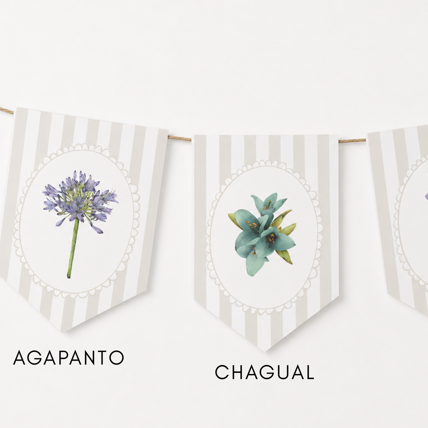 Banderines Flora