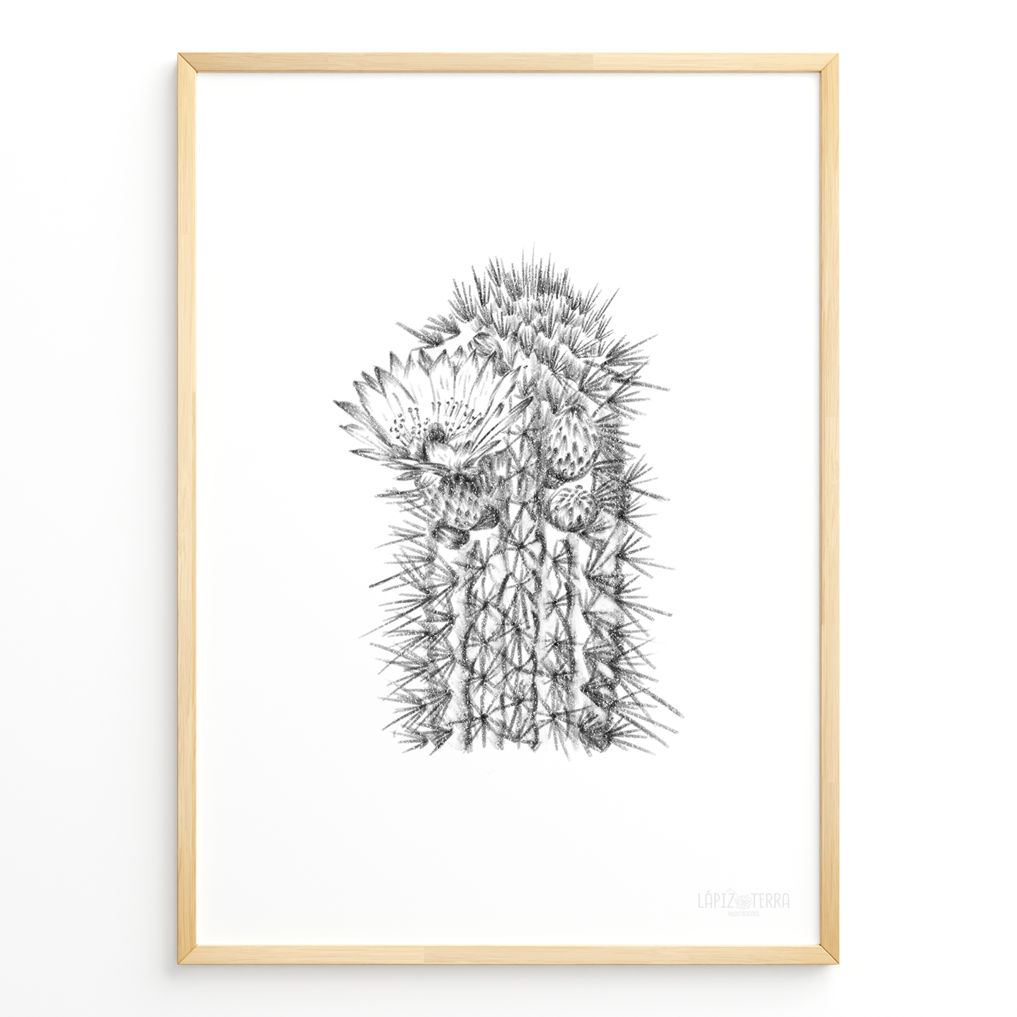 Cactus