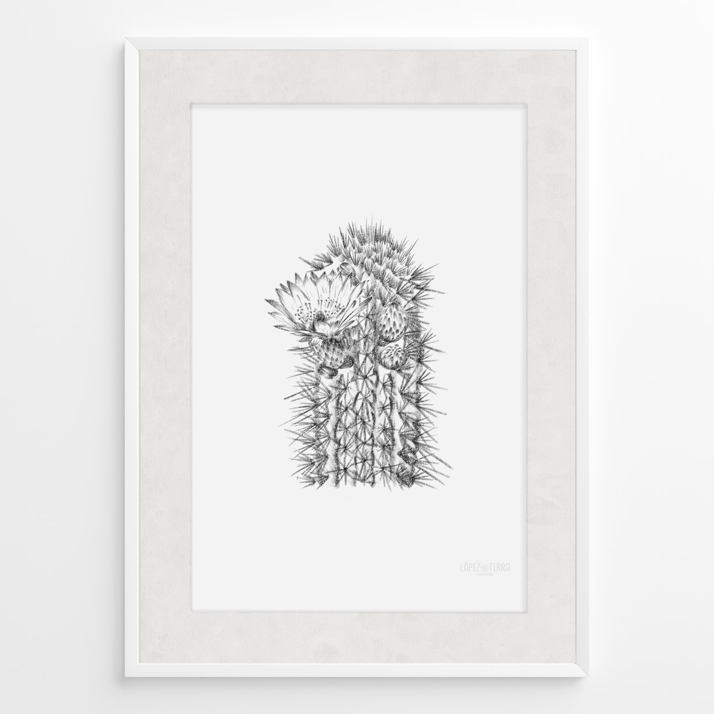 Cactus