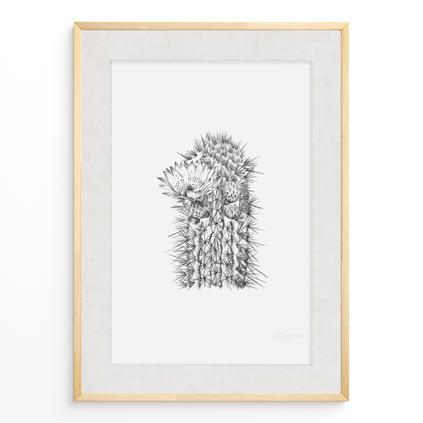 Cactus