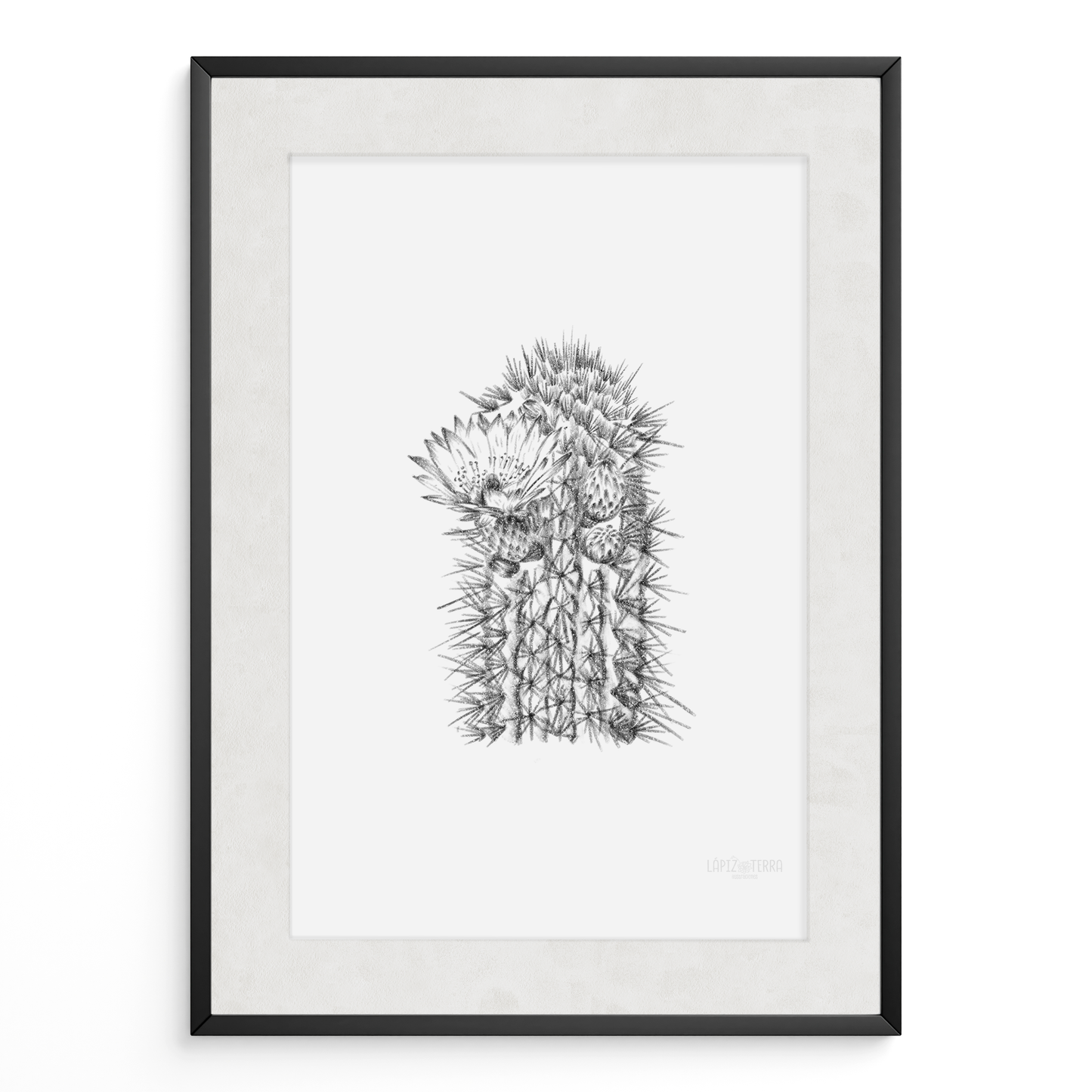 Cactus