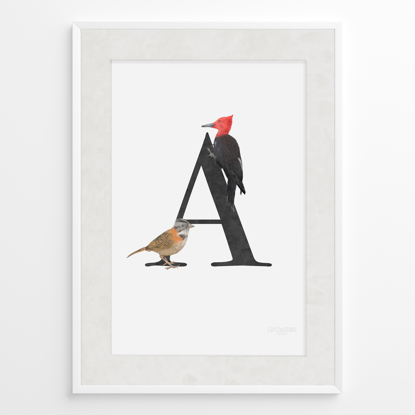 Letra & Carpintero