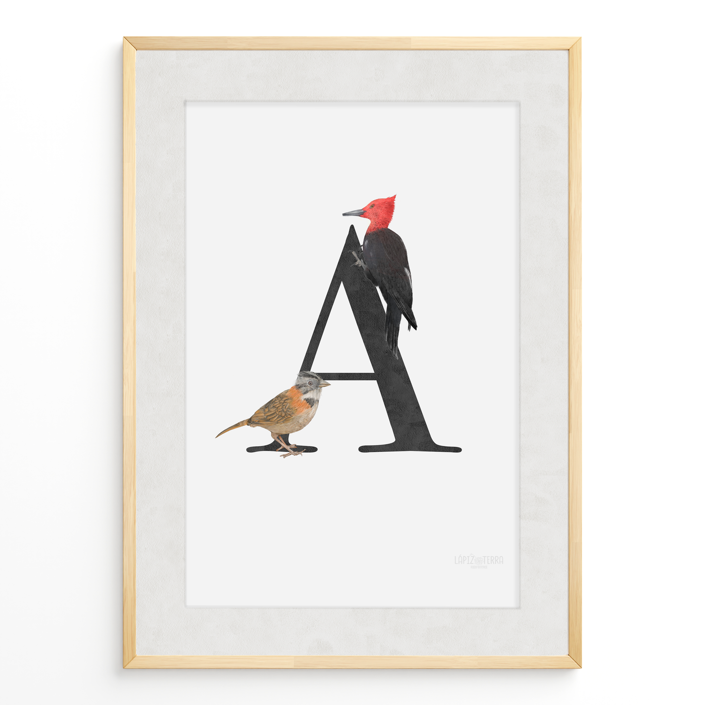 Letra & Carpintero