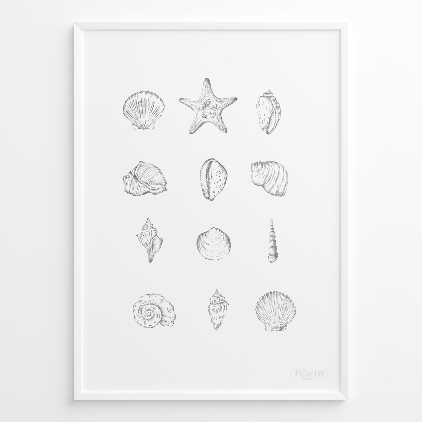 Conchitas B&N