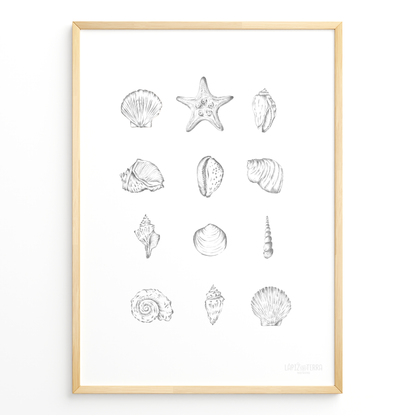 Conchitas B&N