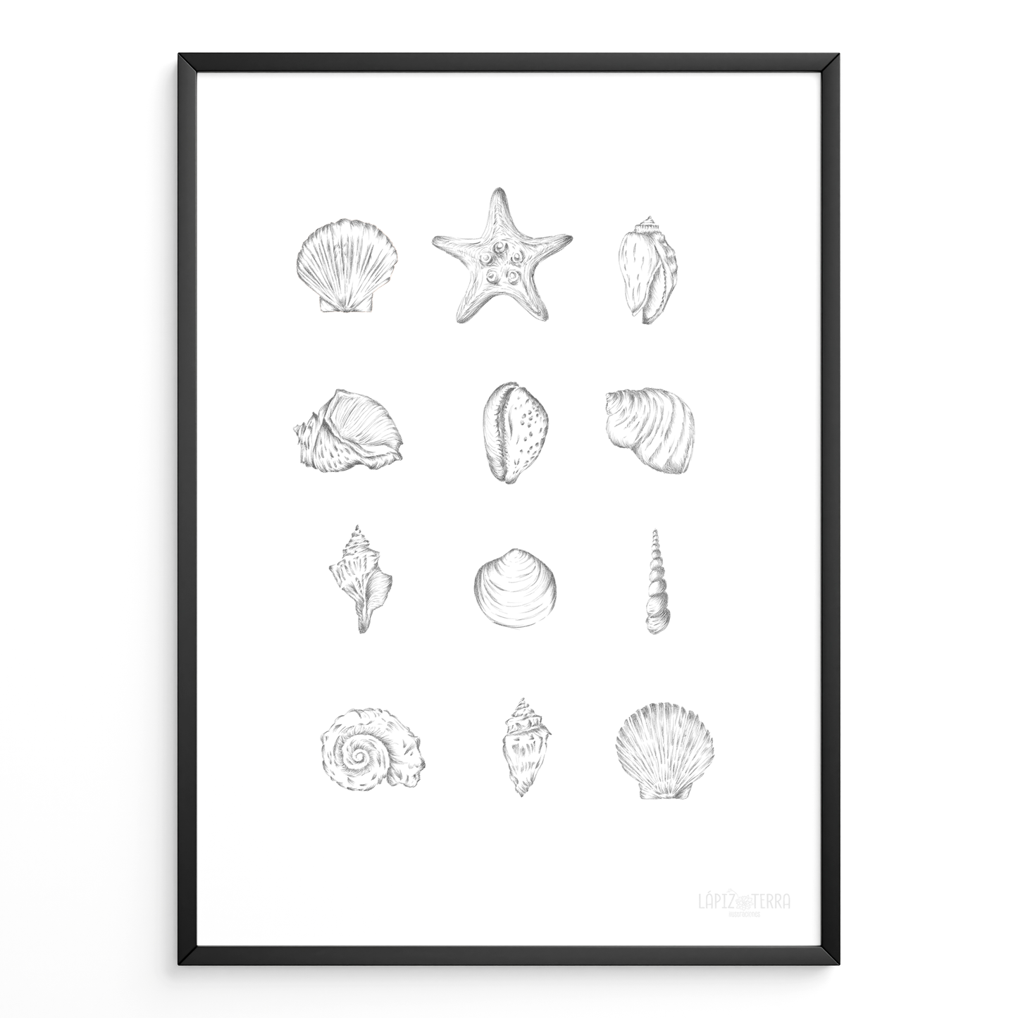 Conchitas B&N