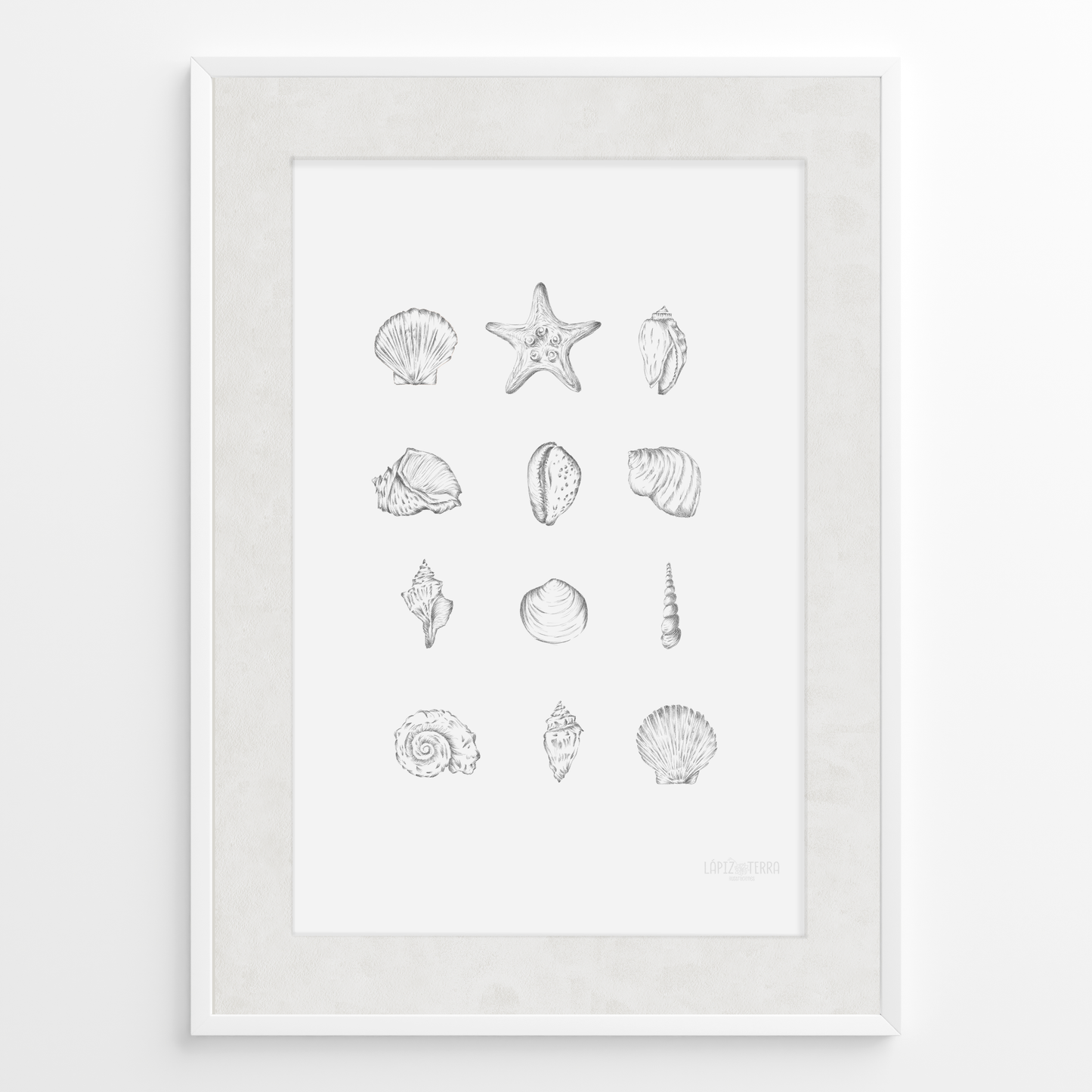 Conchitas B&N