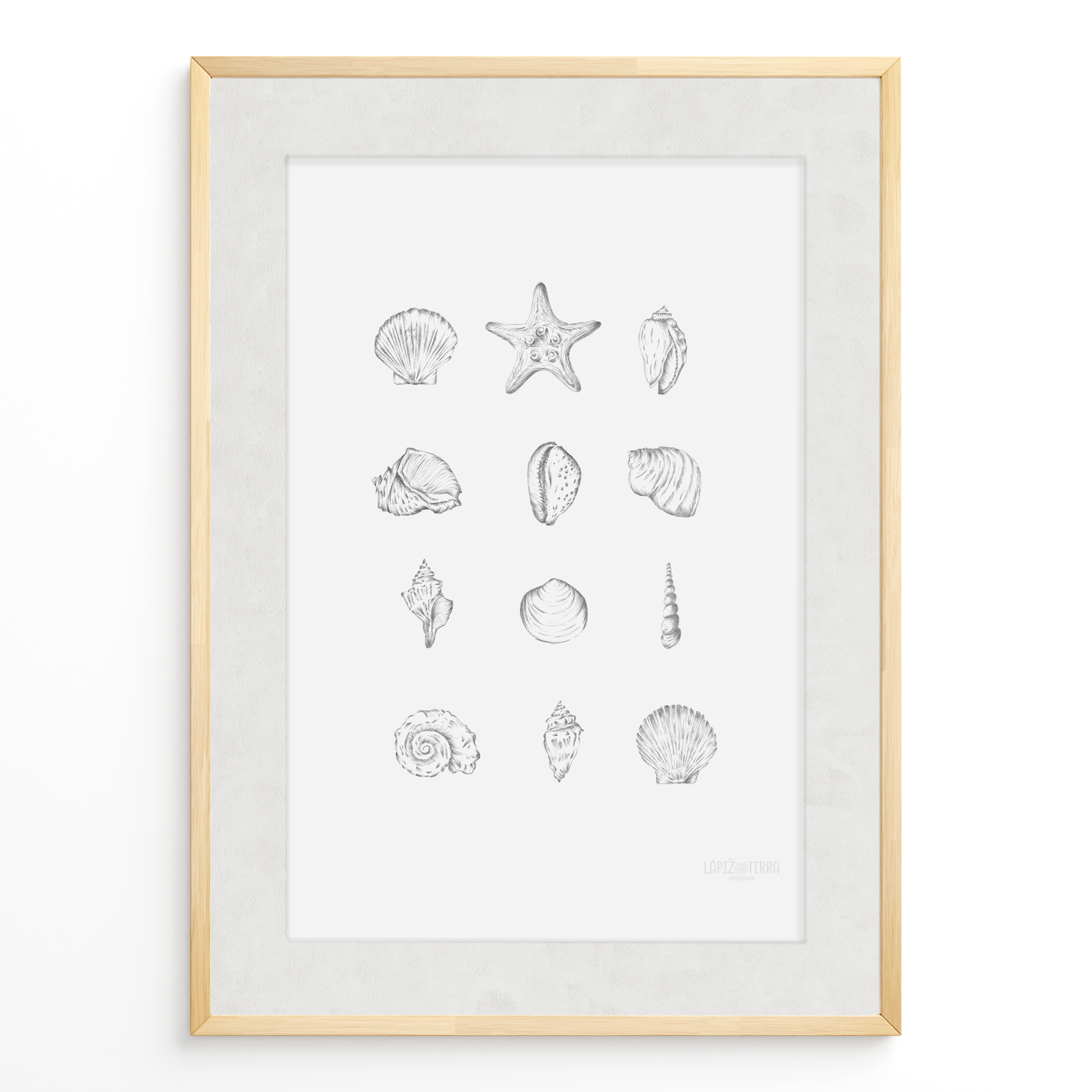 Conchitas B&N