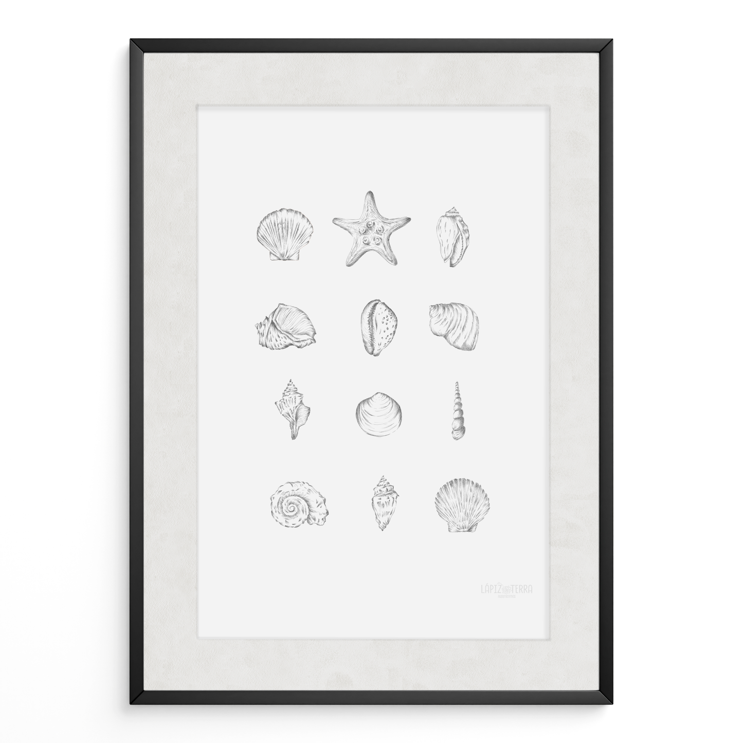 Conchitas B&N