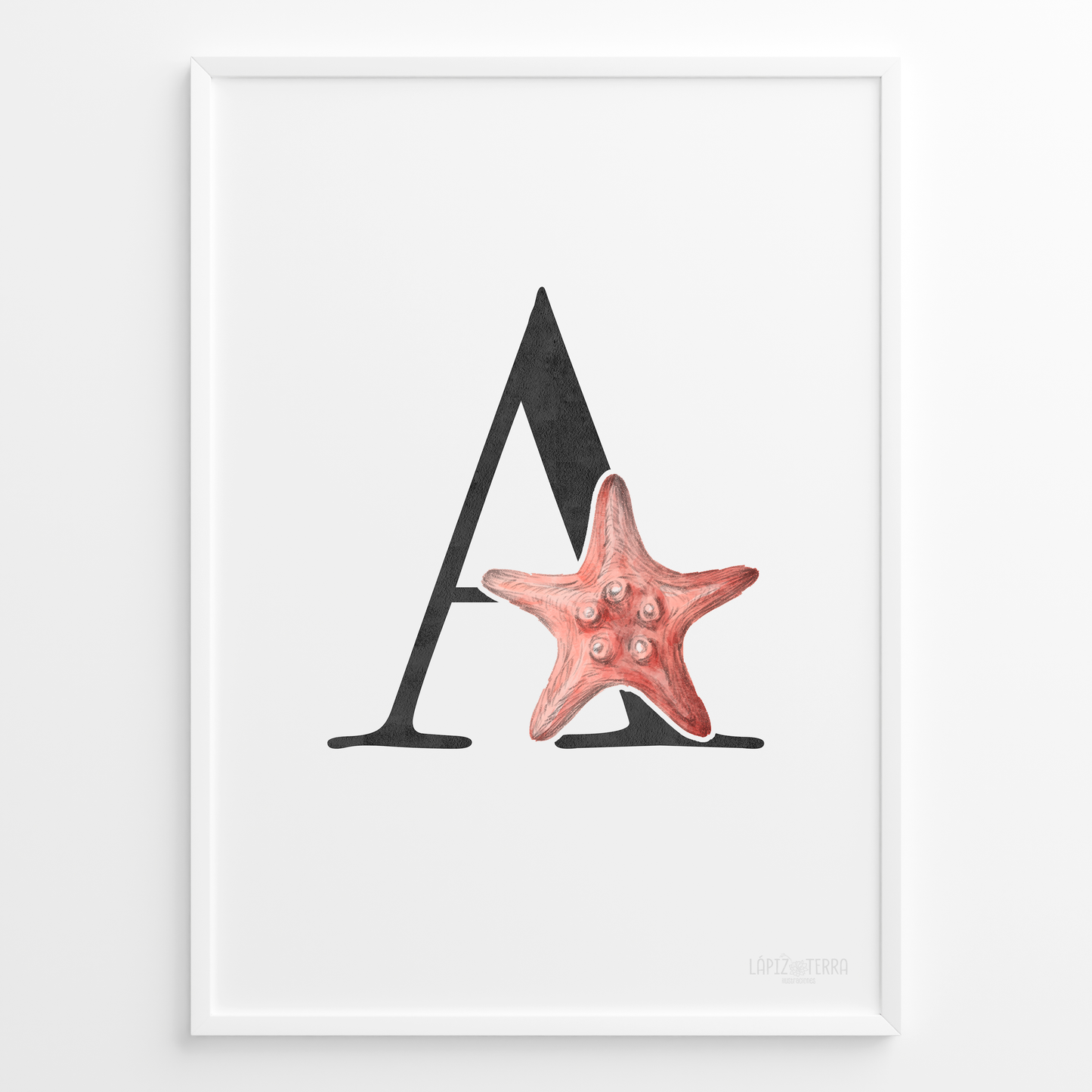 Letra & Estrella de Mar