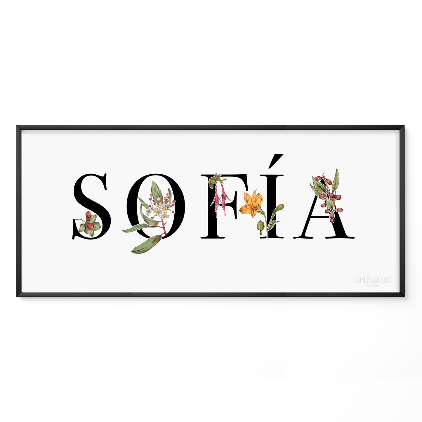 Nombre & Flora Sur
