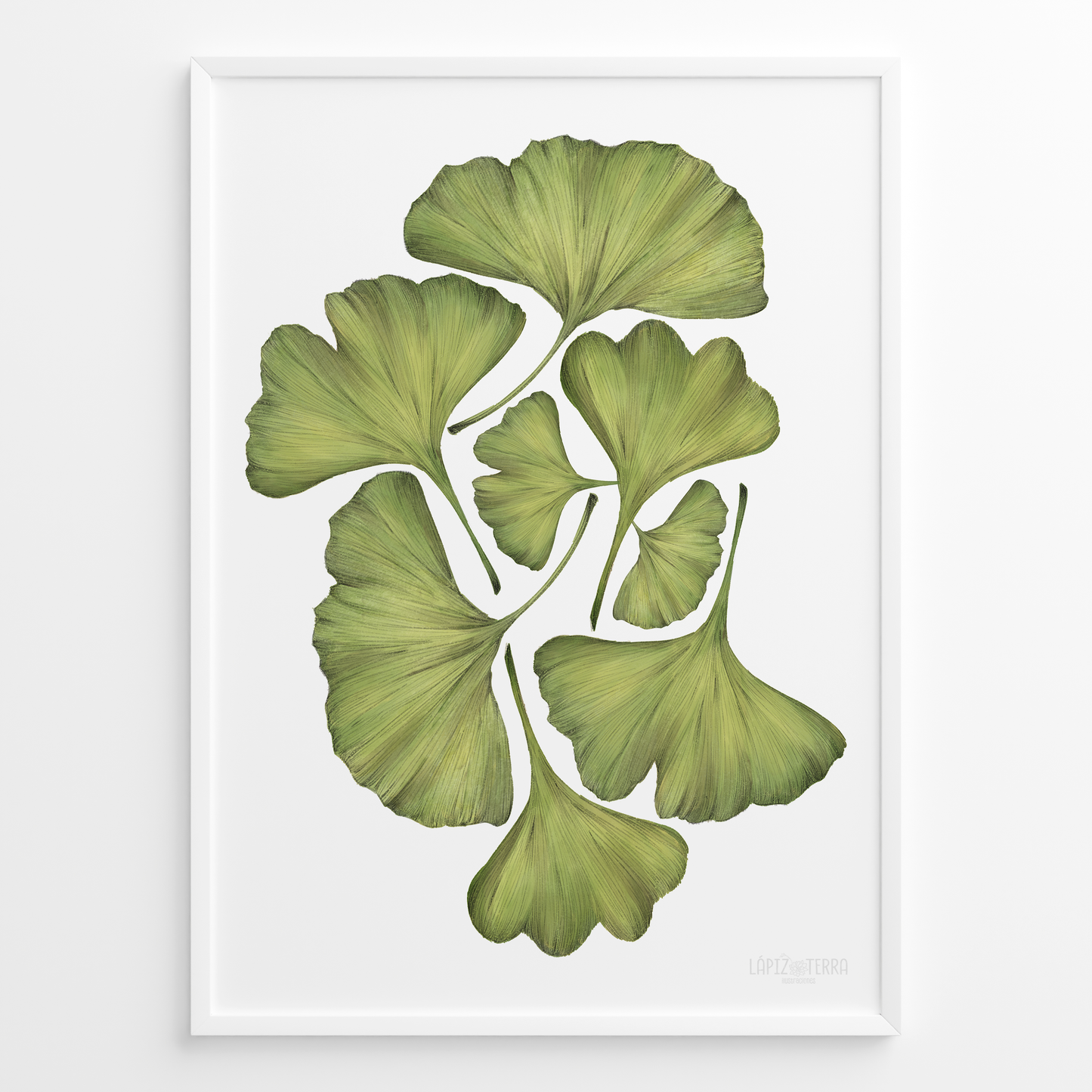 Ginko Biloba