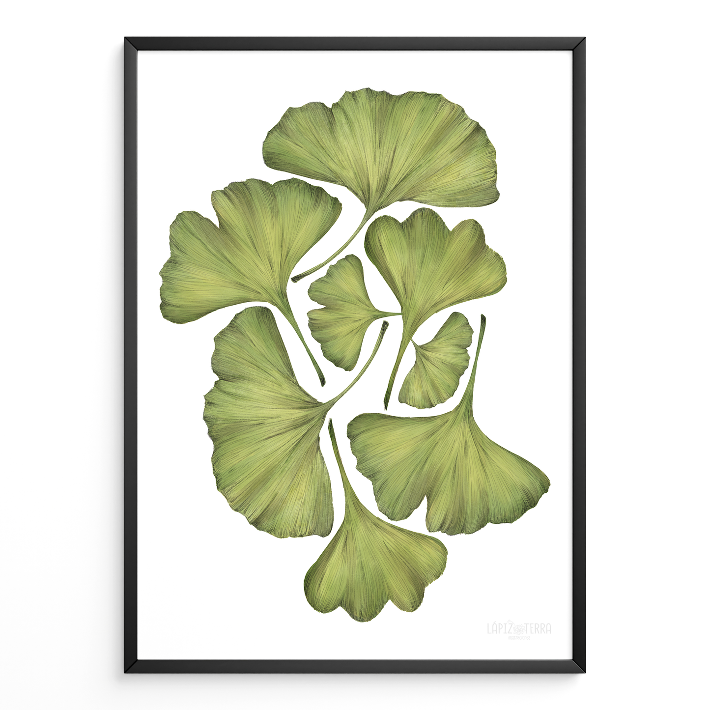 Ginko Biloba