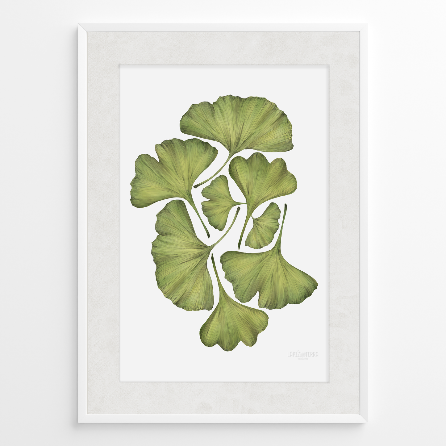 Ginko Biloba