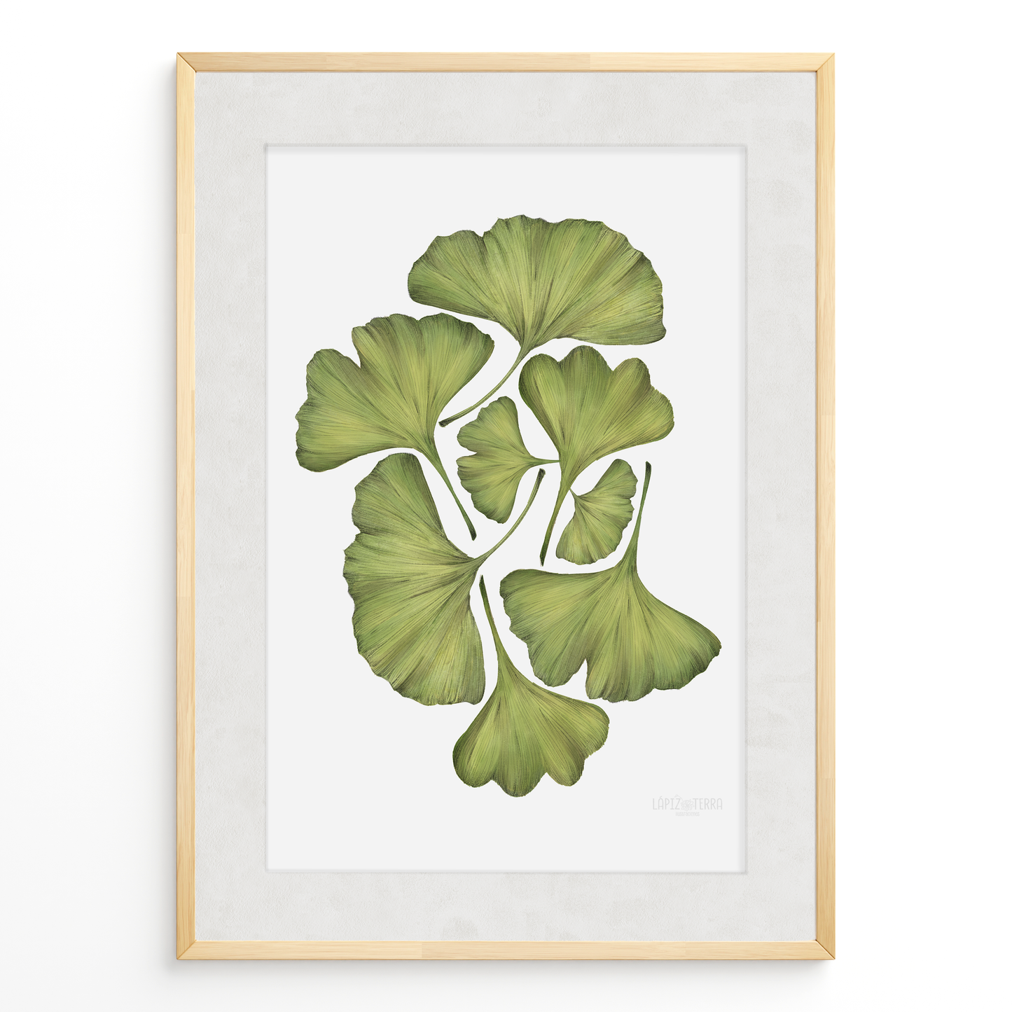 Ginko Biloba
