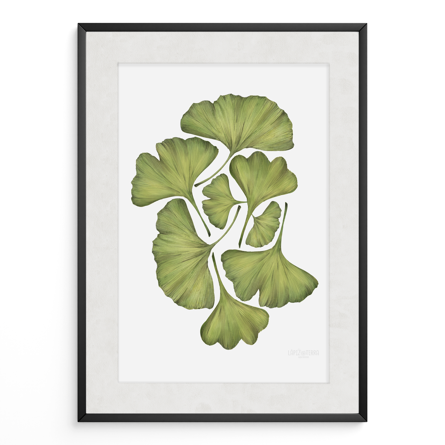 Ginko Biloba