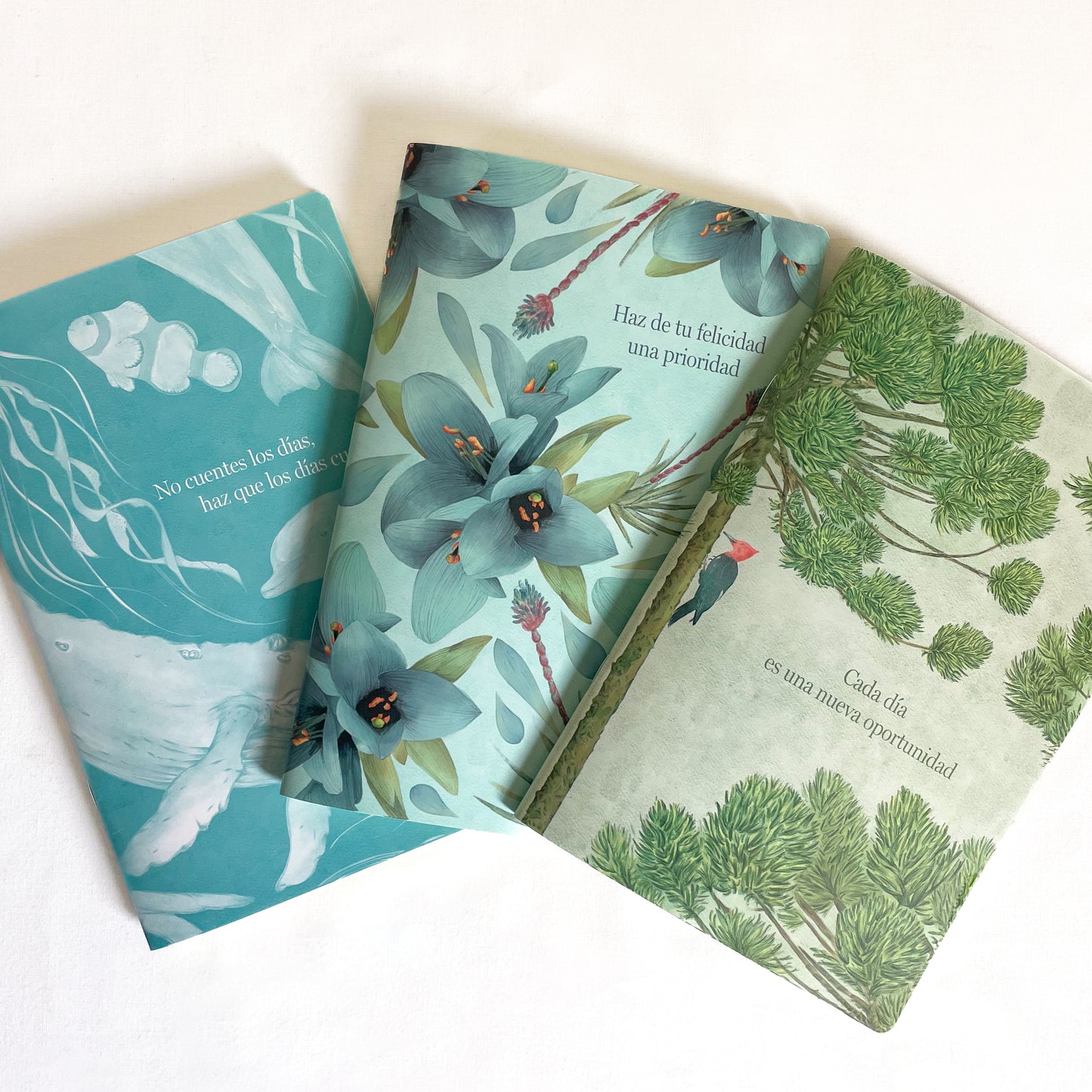 Libreta Araucaria