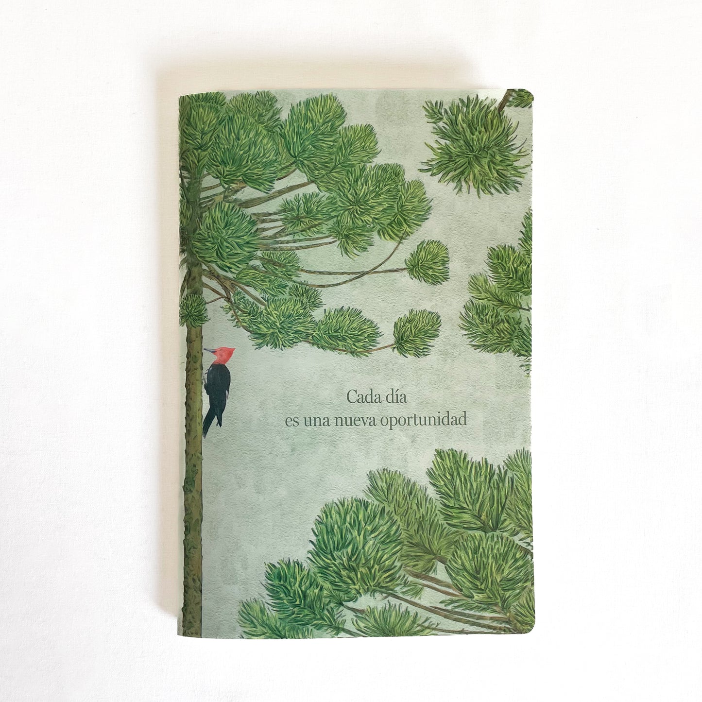 Libreta Araucaria