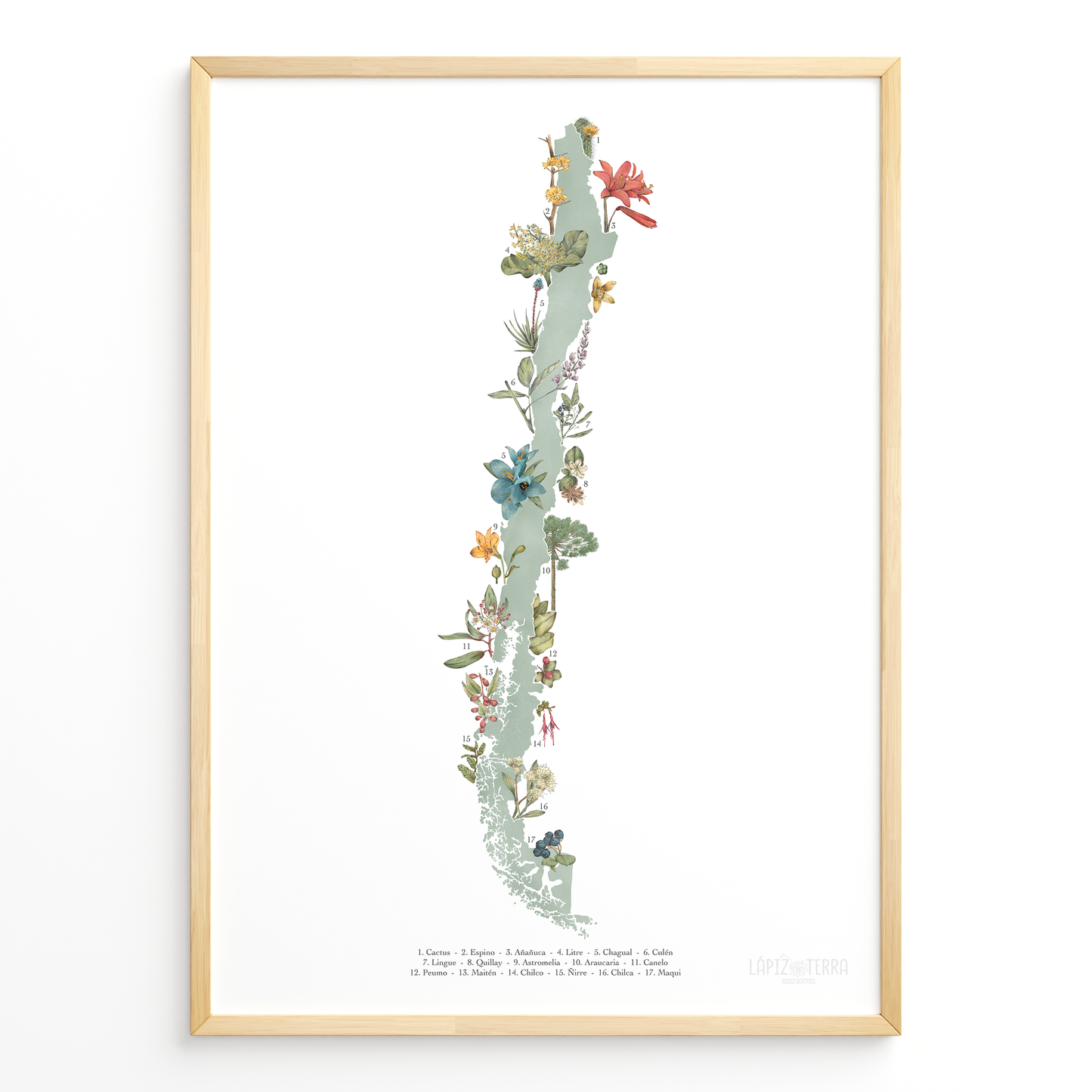 Flora Chilena