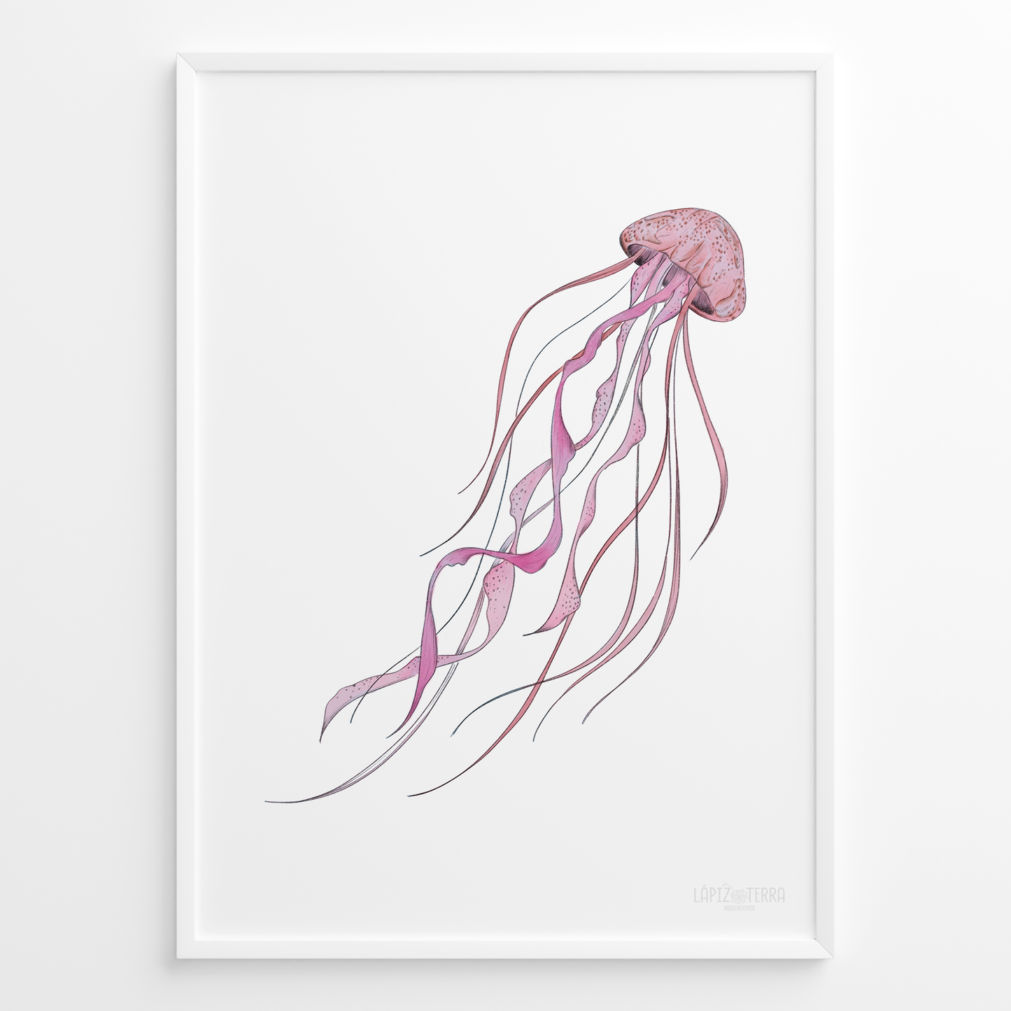 Medusa