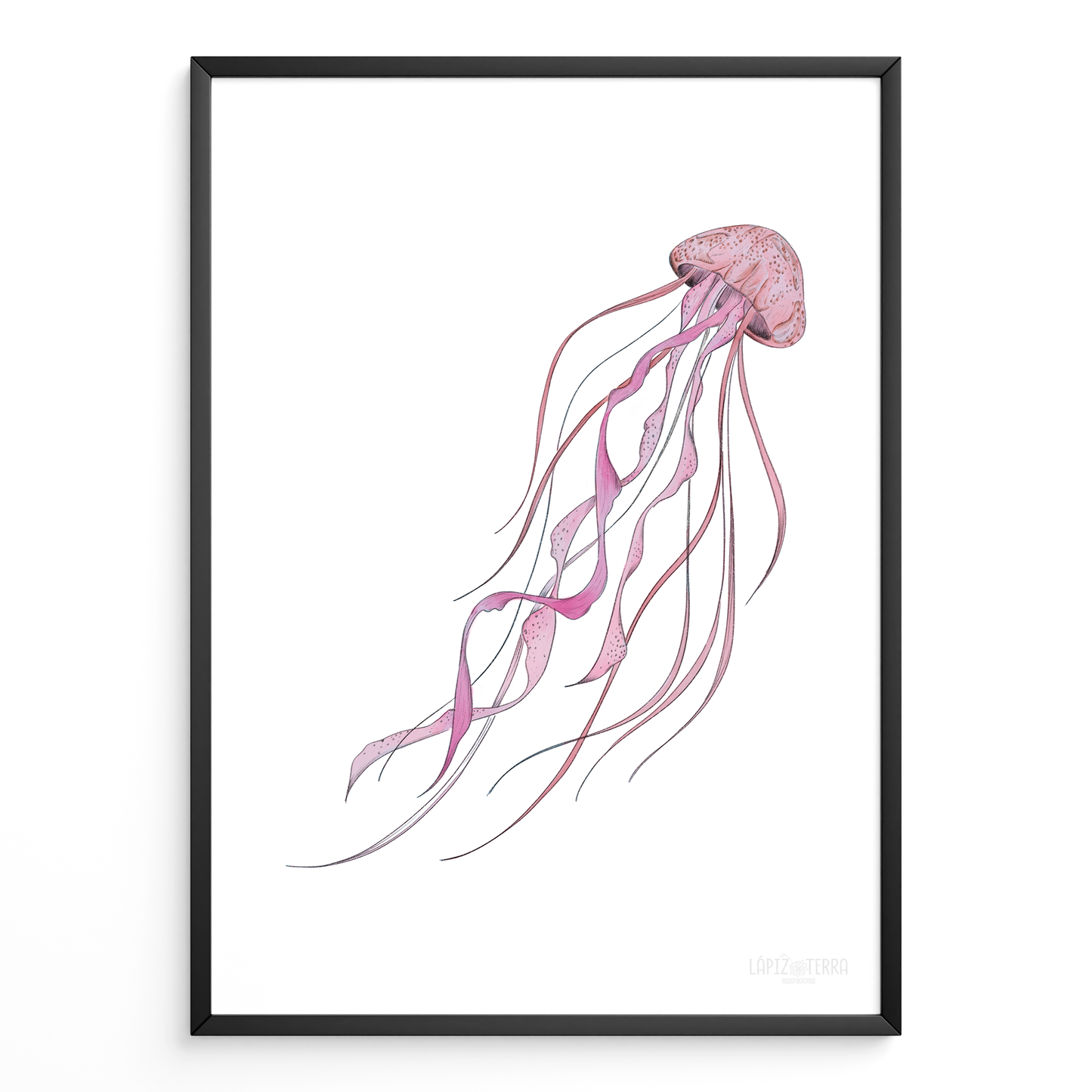 Medusa