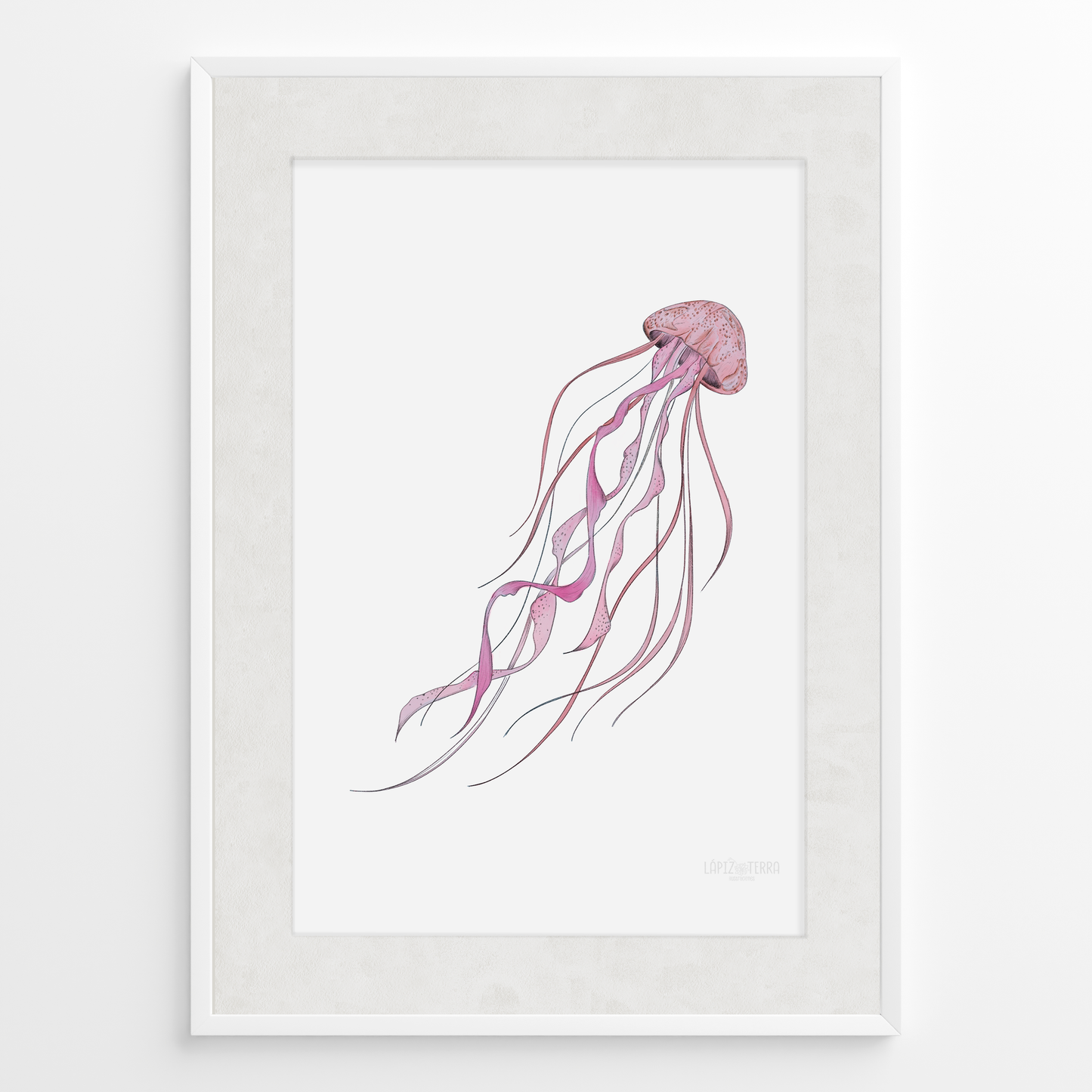 Medusa