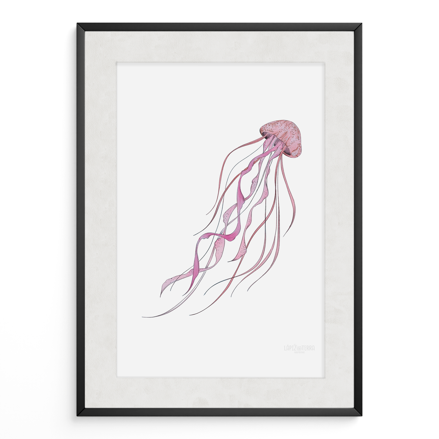 Medusa
