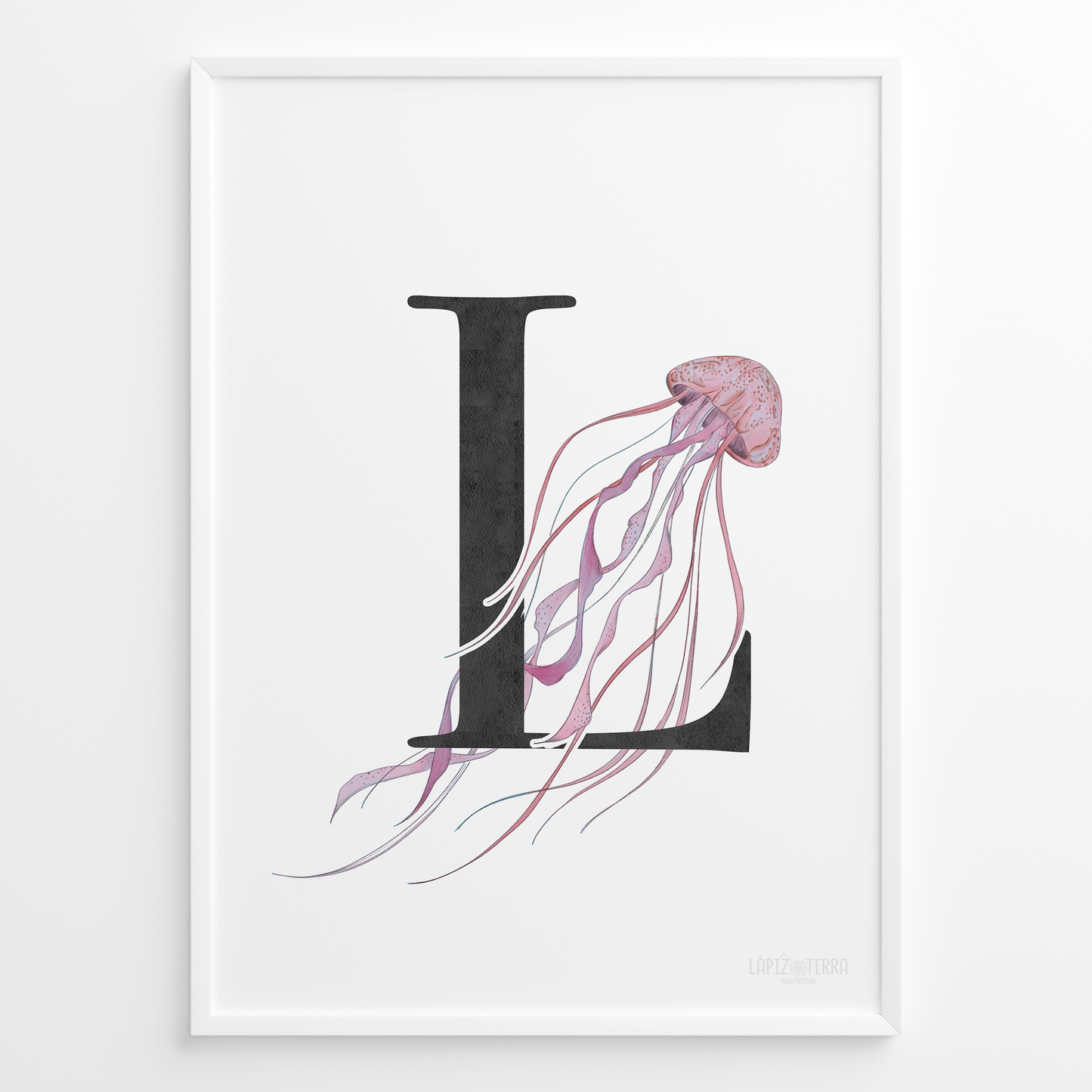 Letra & Medusa