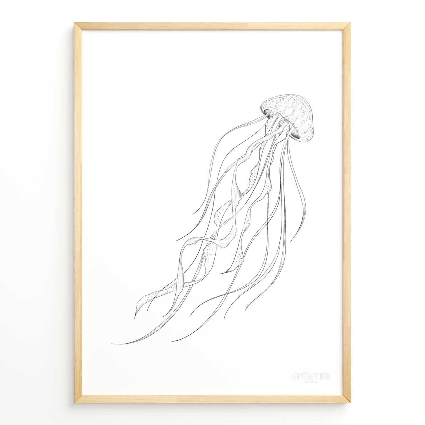 Medusa B&N